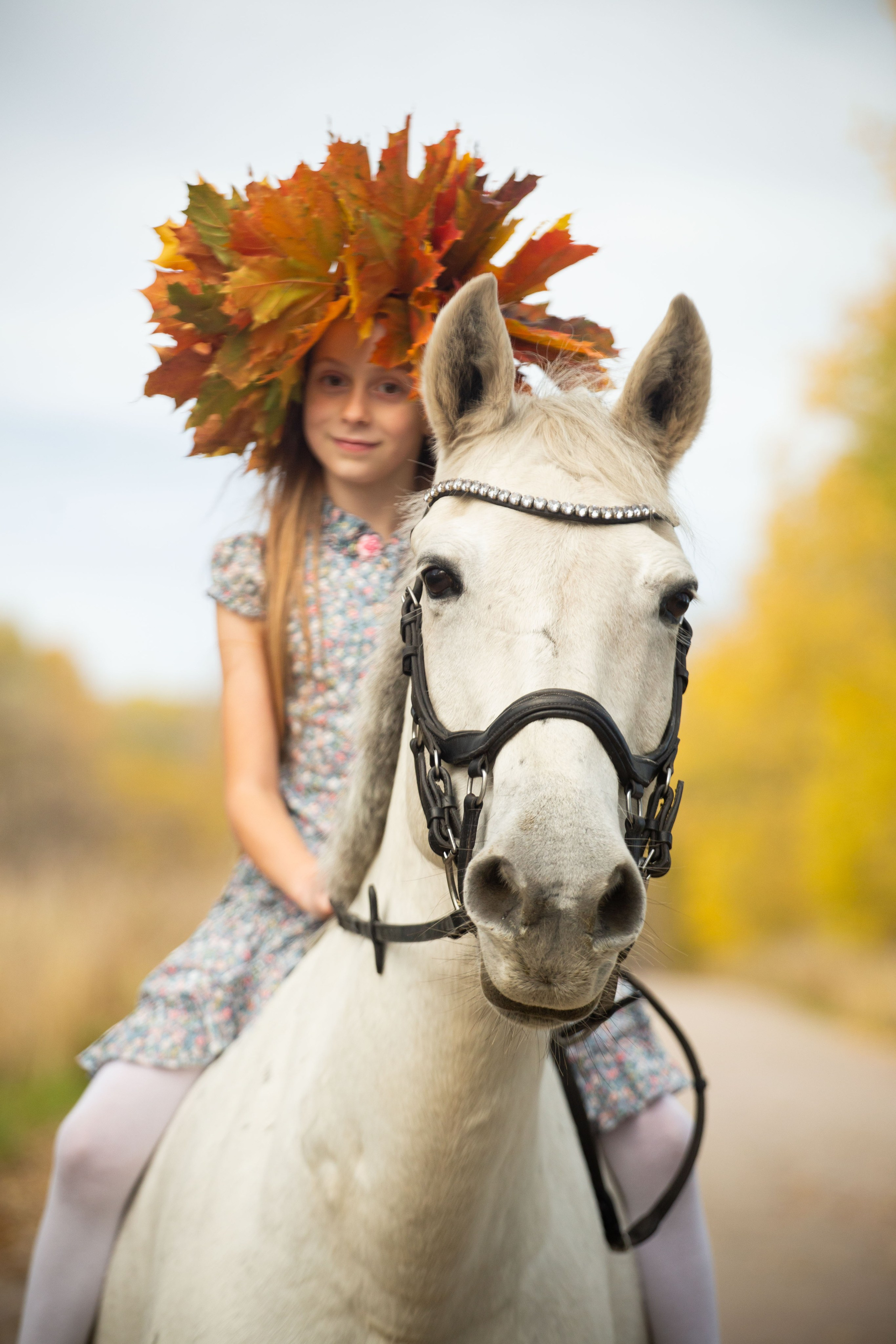 Конные фотосессии (съёмки с лошадьми). Главная