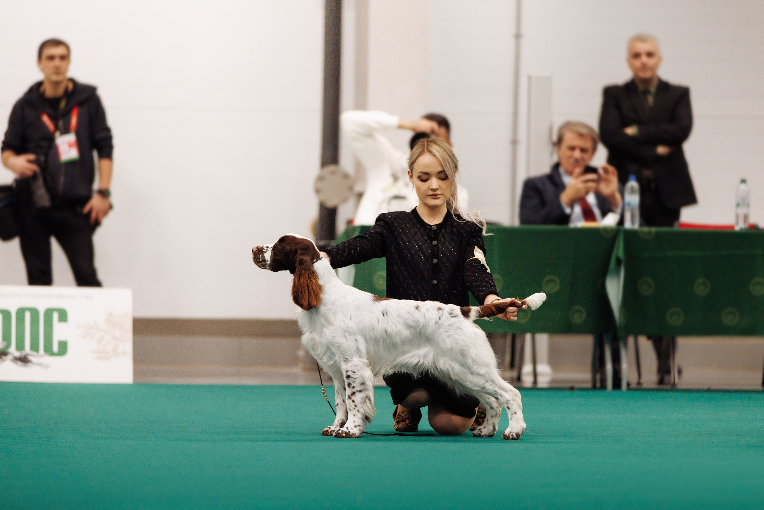 29-30.11.2025 — Казань «Зилант». Фотограф-анималист Саша Вязьмина