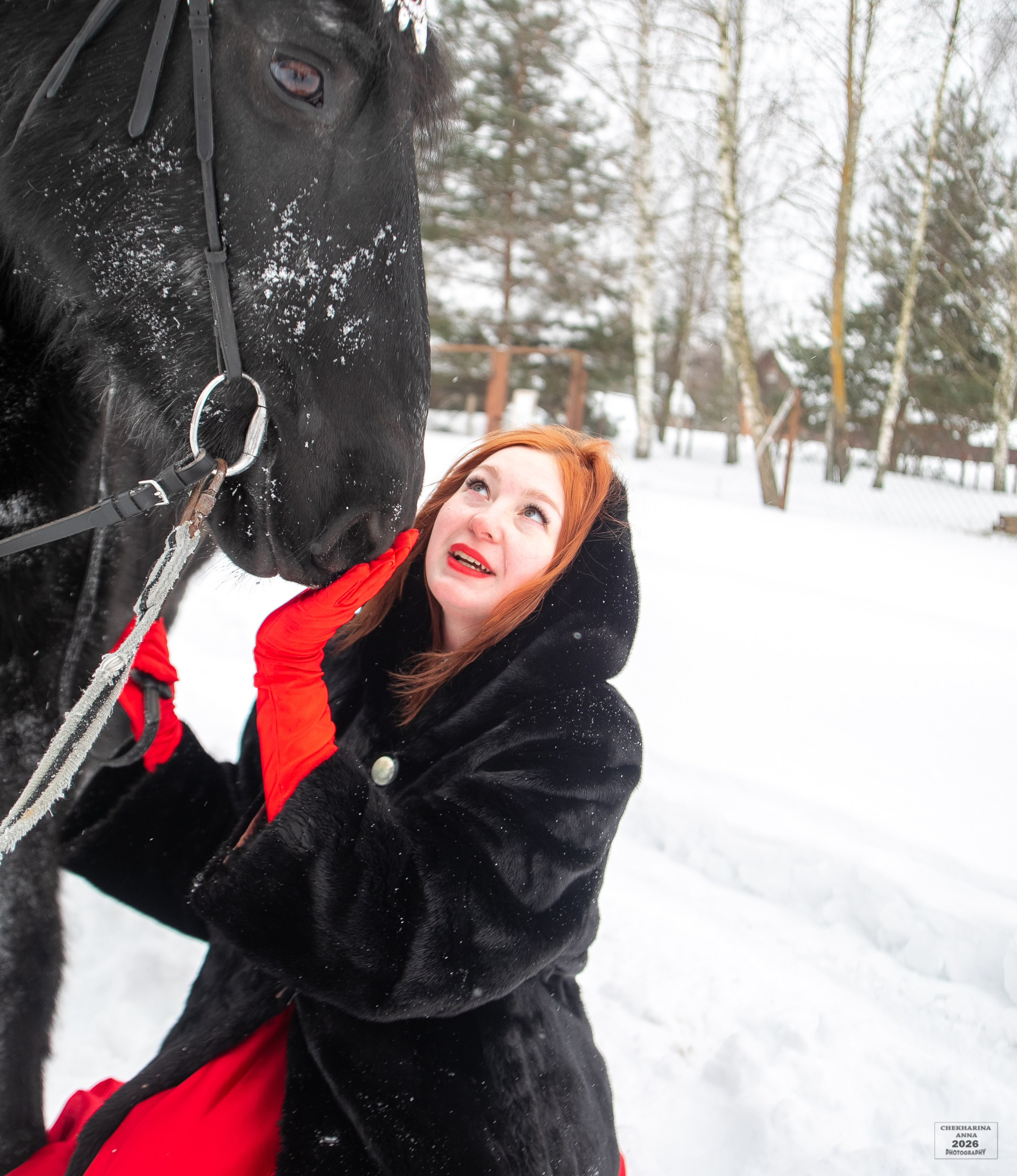 Фотосессии с лошадьми. Профессиональный фотограф Чехарина Анна / pro photographer Chekharina