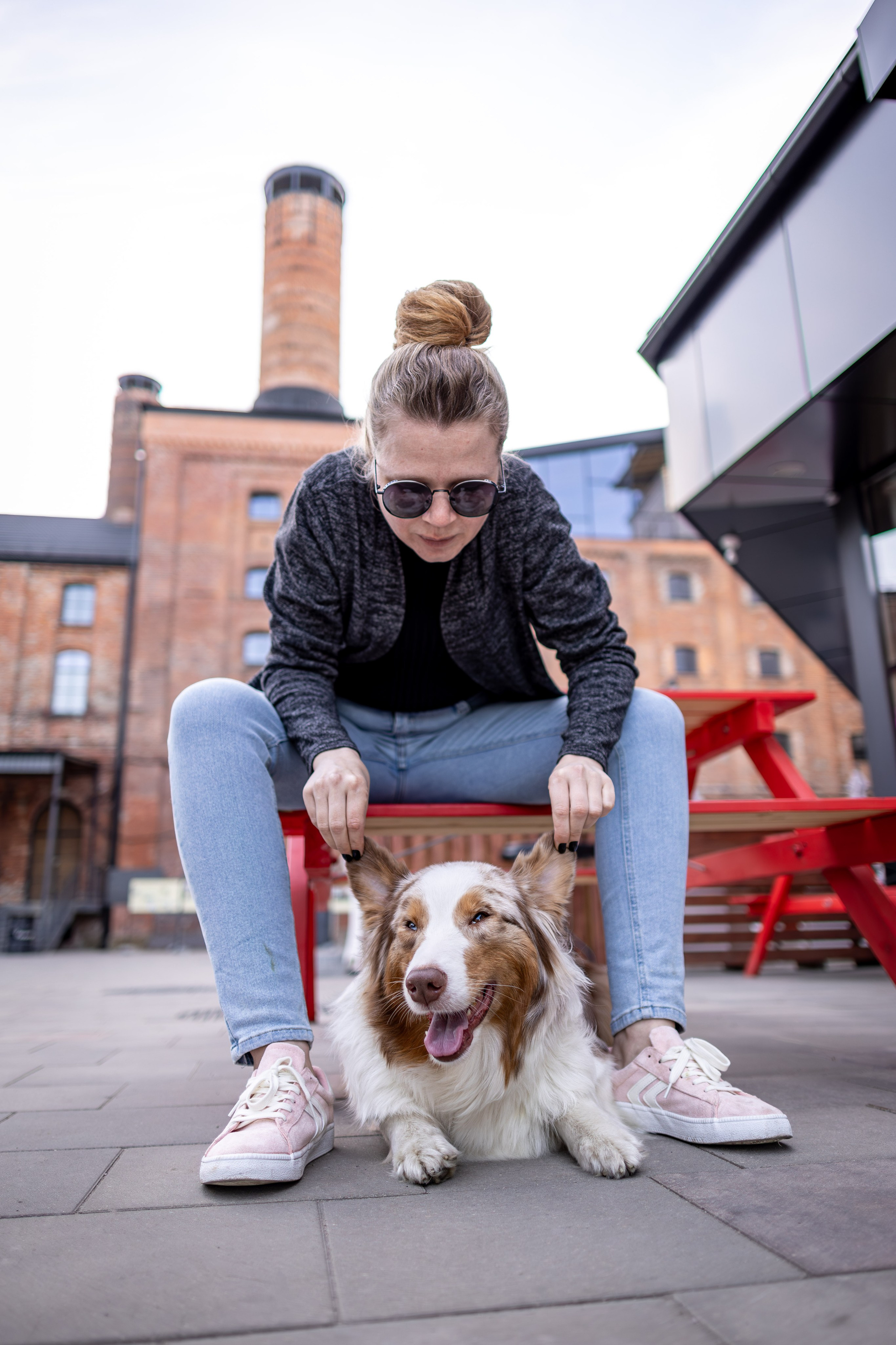Полли, Австралийская Овчарка. Ирина Голомб|Фотограф-анималист в  Сочи и Калининграде