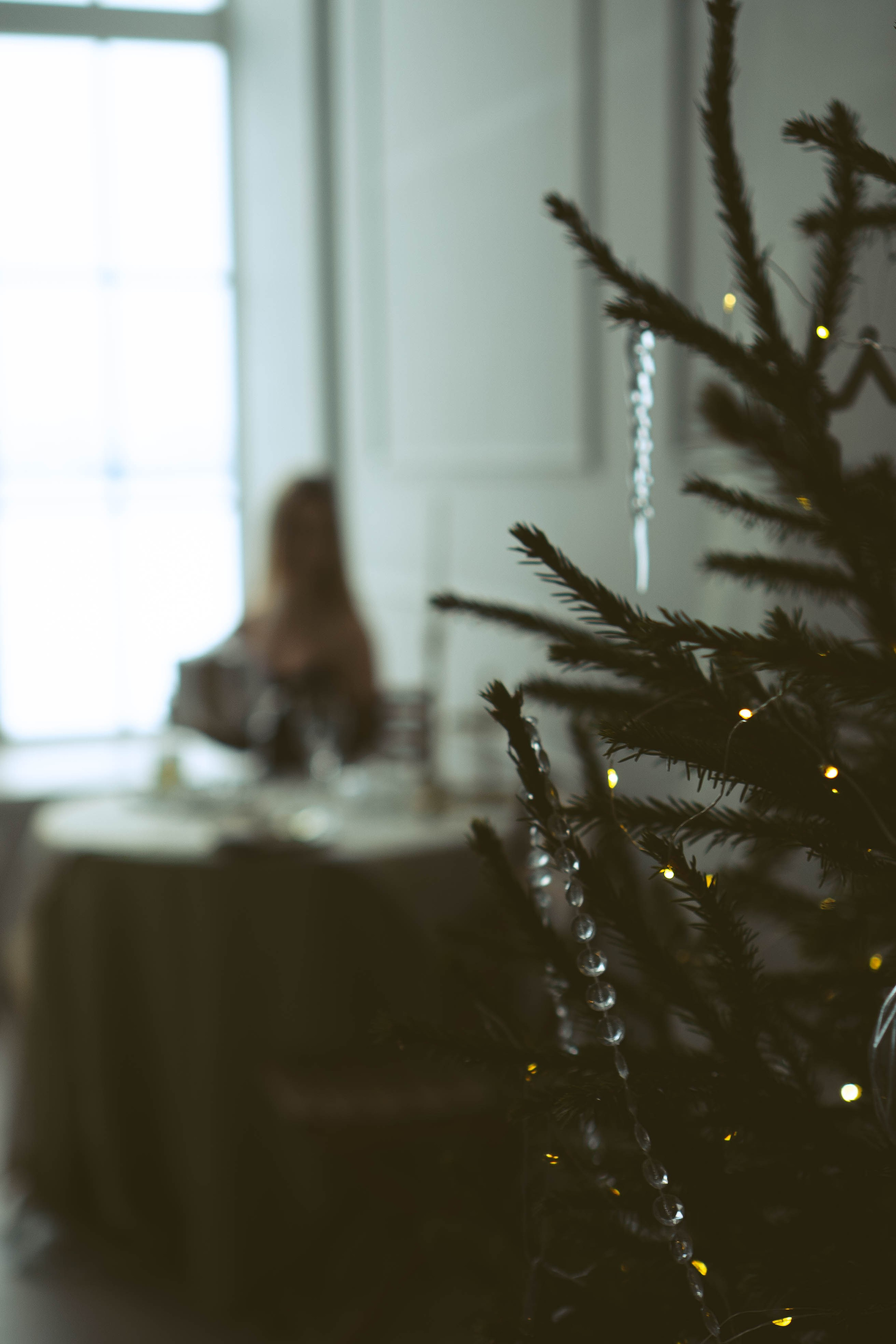 Новогодняя. Профессиональный фотограф, Санкт-Петербург — Виктория Богомолова