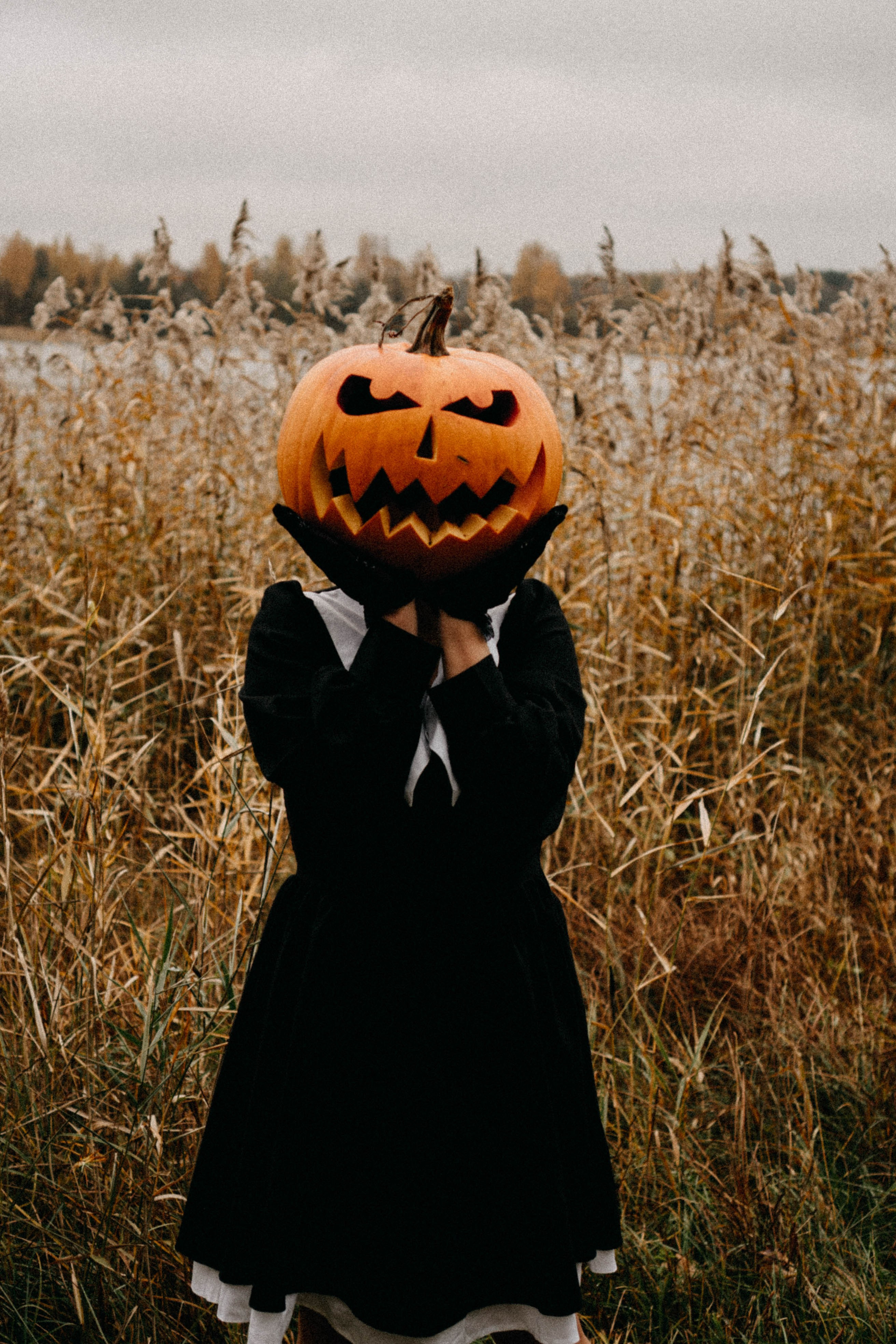 Осеняя. Профессиональный фотограф, Санкт-Петербург — Виктория Богомолова