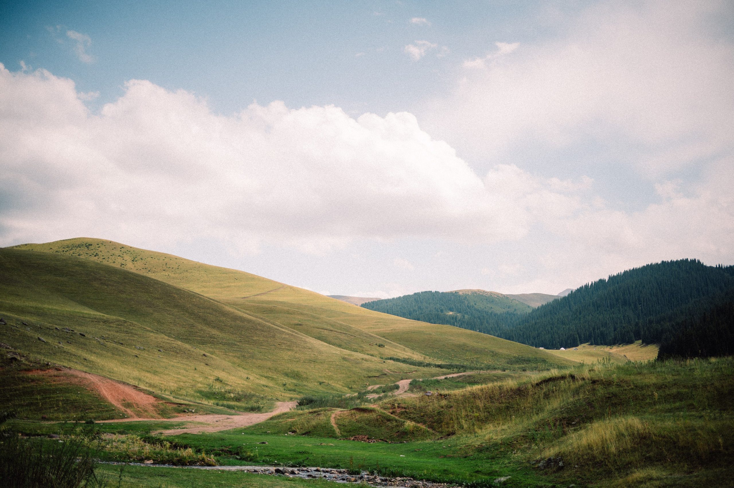 Плато Ассы: июль 2025. Фотограф в Алматы — Дарья Фёдорова