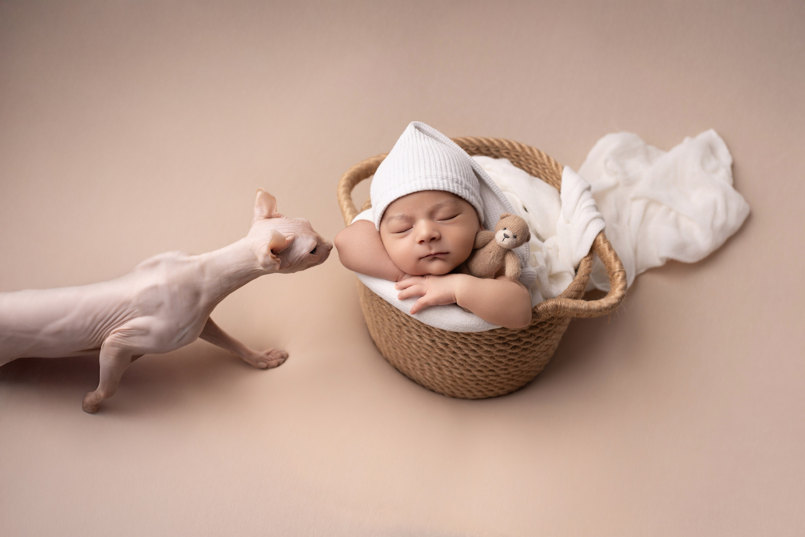 Newborn мальчики. Фотограф новорожденных Модяева Ирина