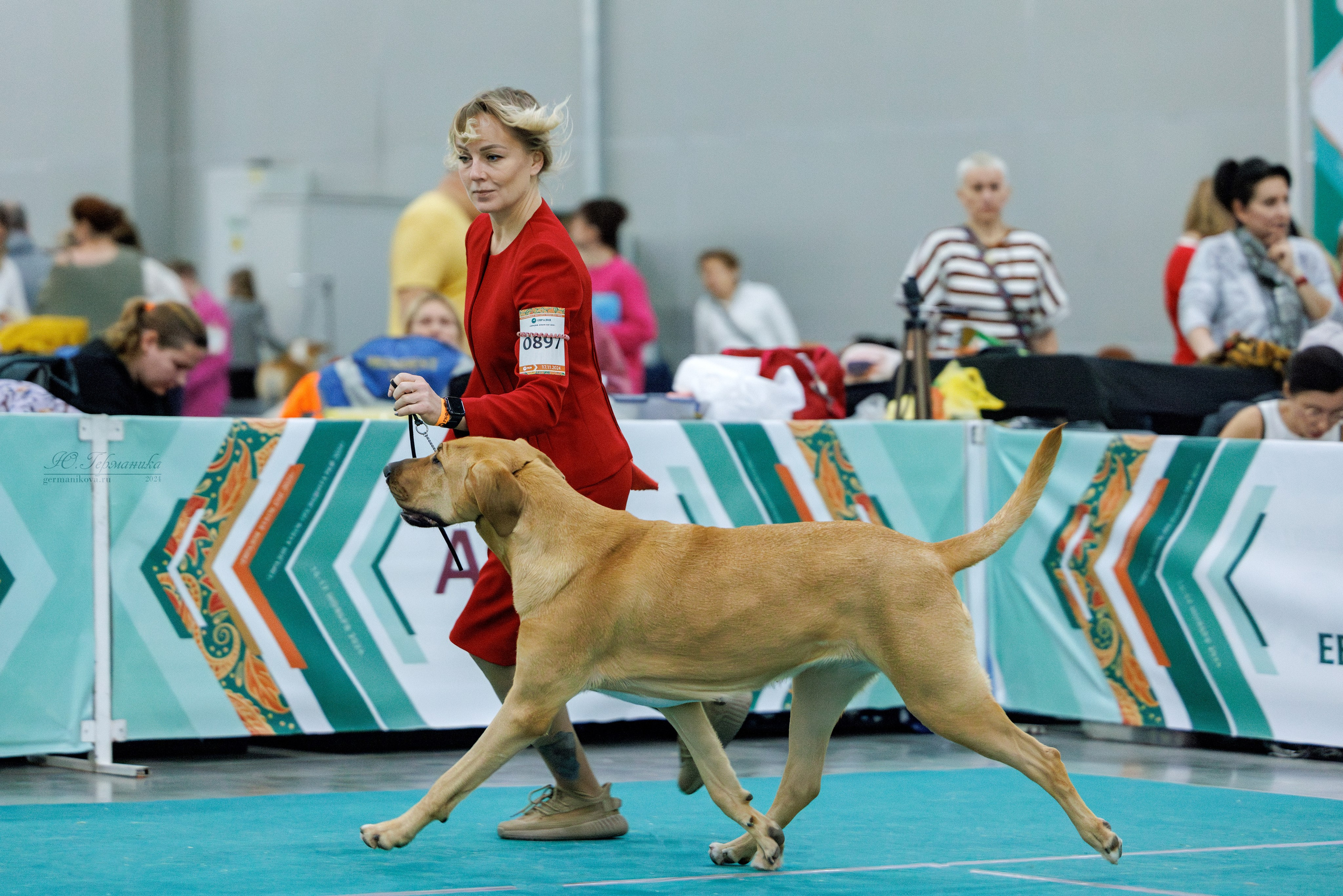 Евразия 16-17.11.2024. Фотограф-анималист Юлия Германика