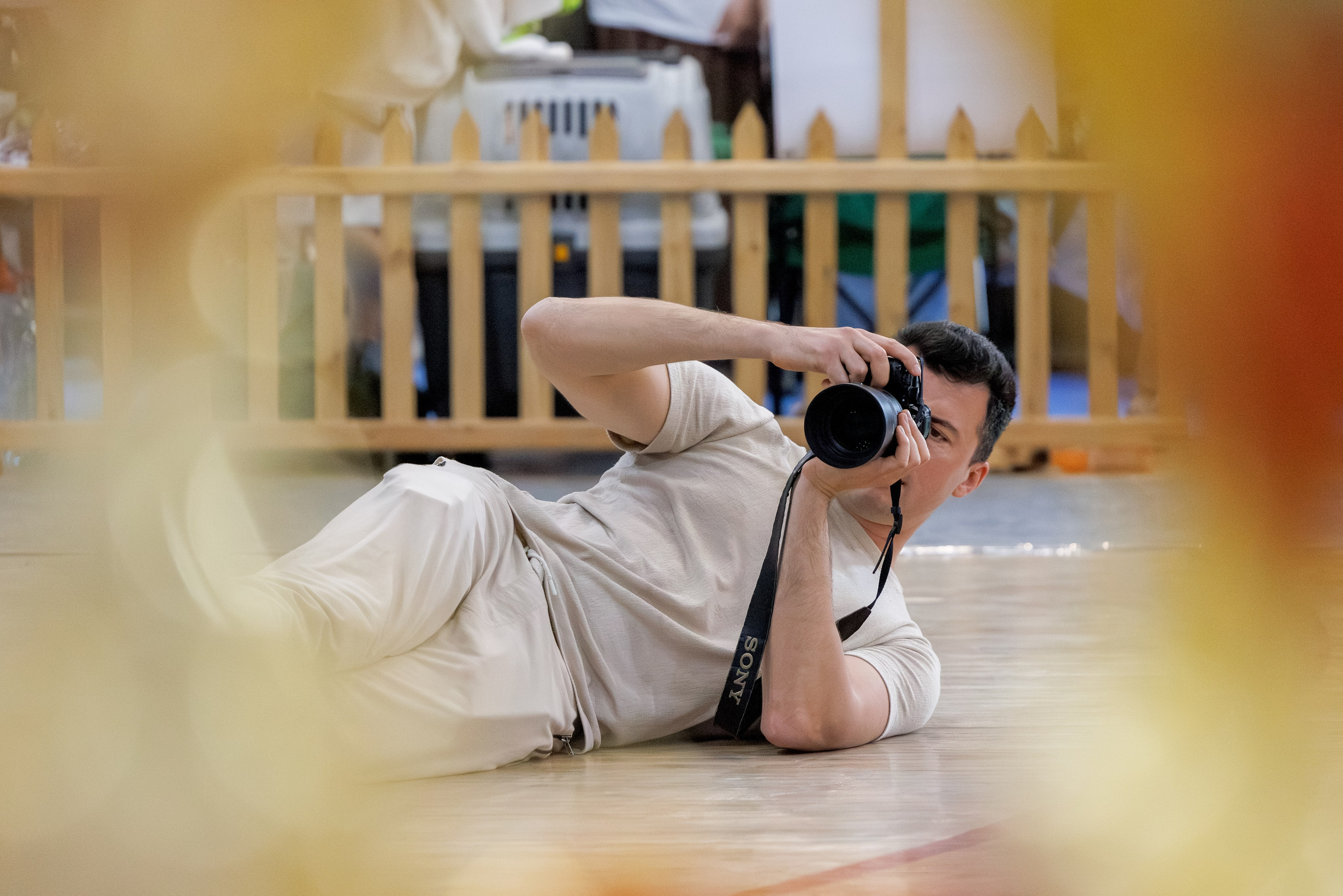 Ереван 2х CACIB 29-30.04.2025. Фотограф-анималист Юлия Германика