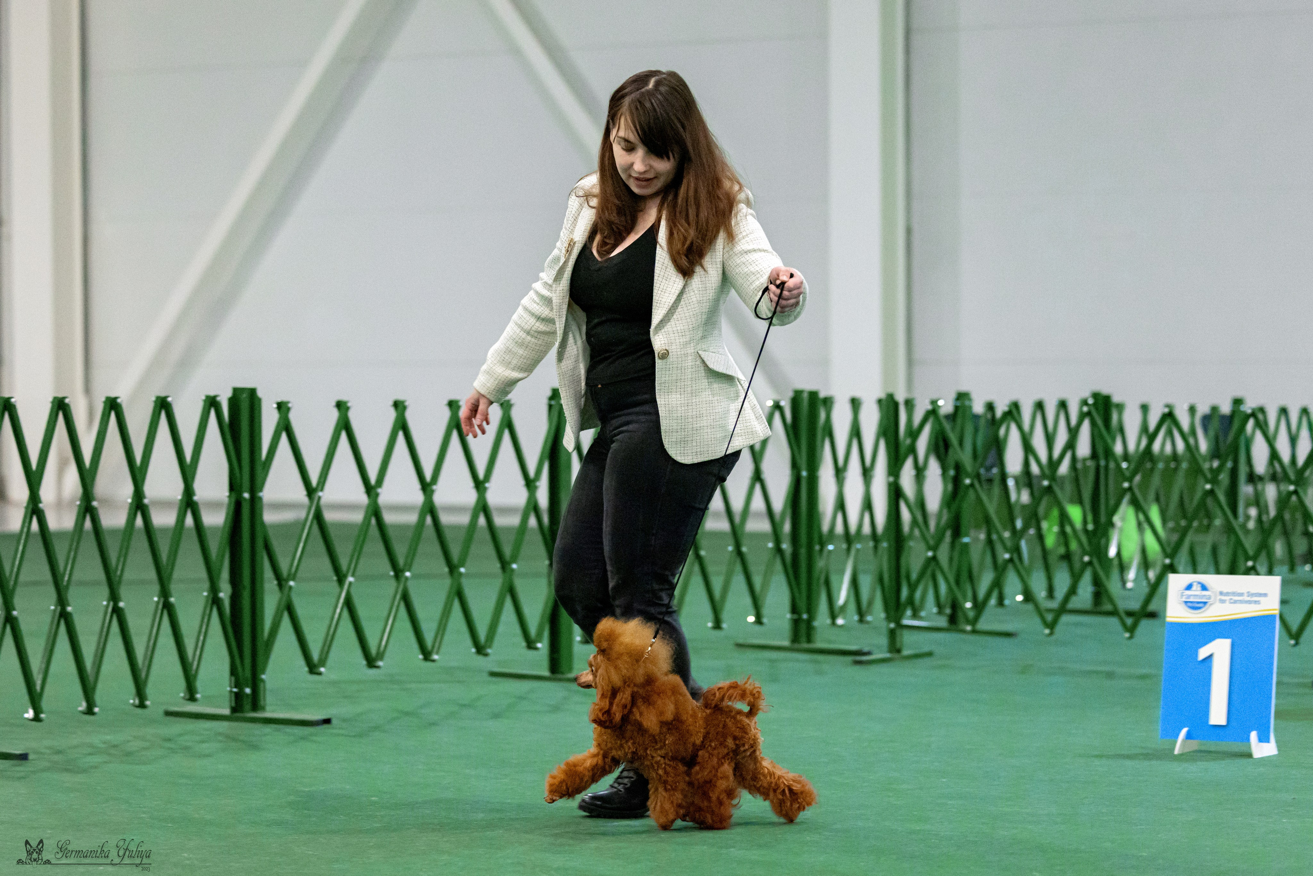 Крокус 3,9 и 10.12.2023. Фотограф-анималист Юлия Германика