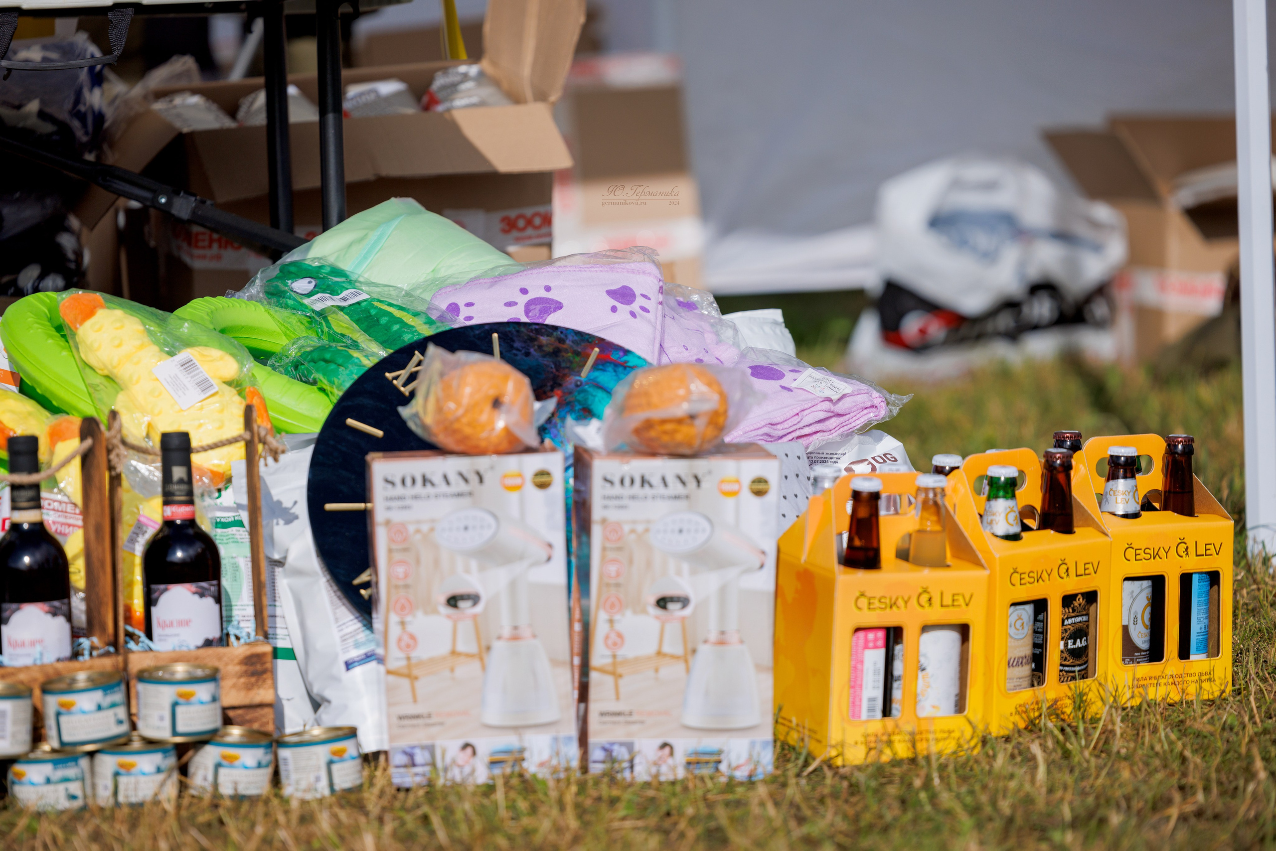 Рязань-Ховрино 10-11.08.2024 3хмоно ротвейлеров. Фотограф-анималист Юлия Германика