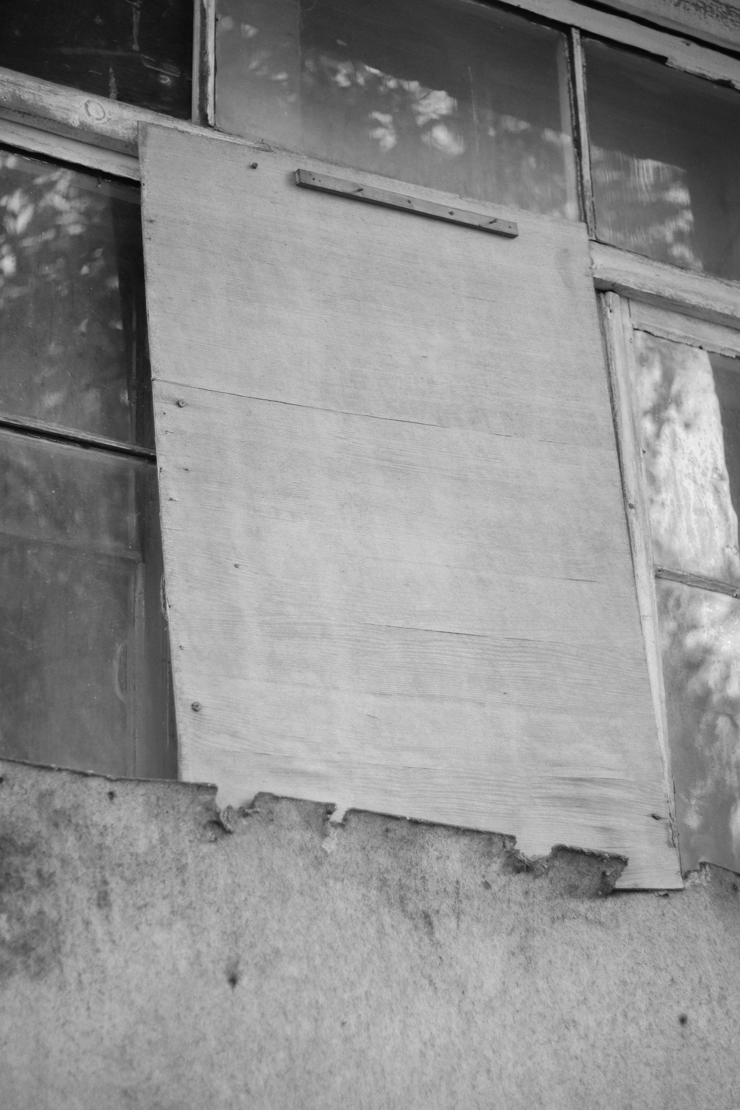 Splitting. Фотограф и исследователь фотографии из Санкт-Петербурга Елизавета Веприцкая