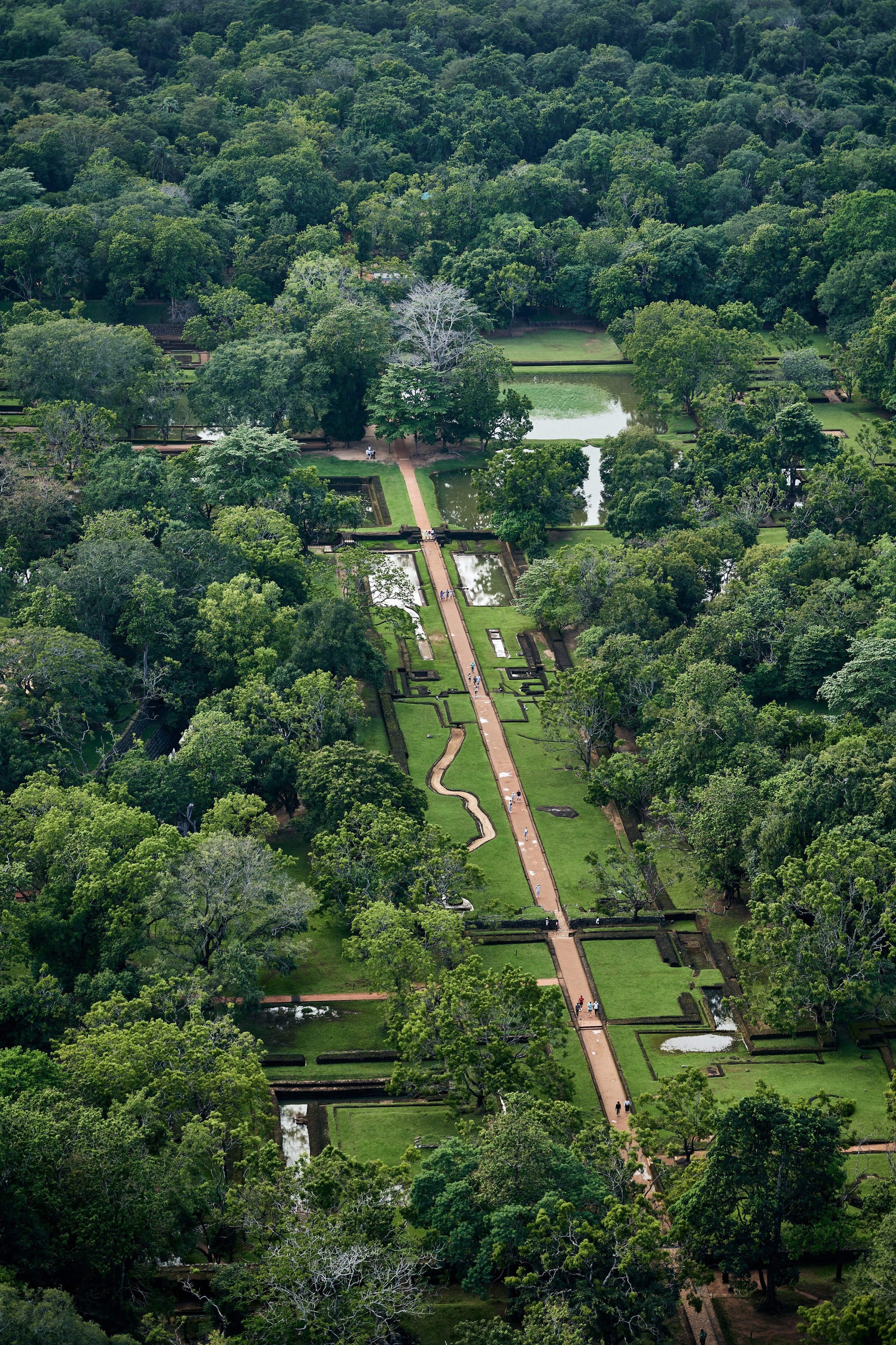 Шри-Ланка. Хороший репортажный и промышленный фотограф в Казани Алексей Щелконогов