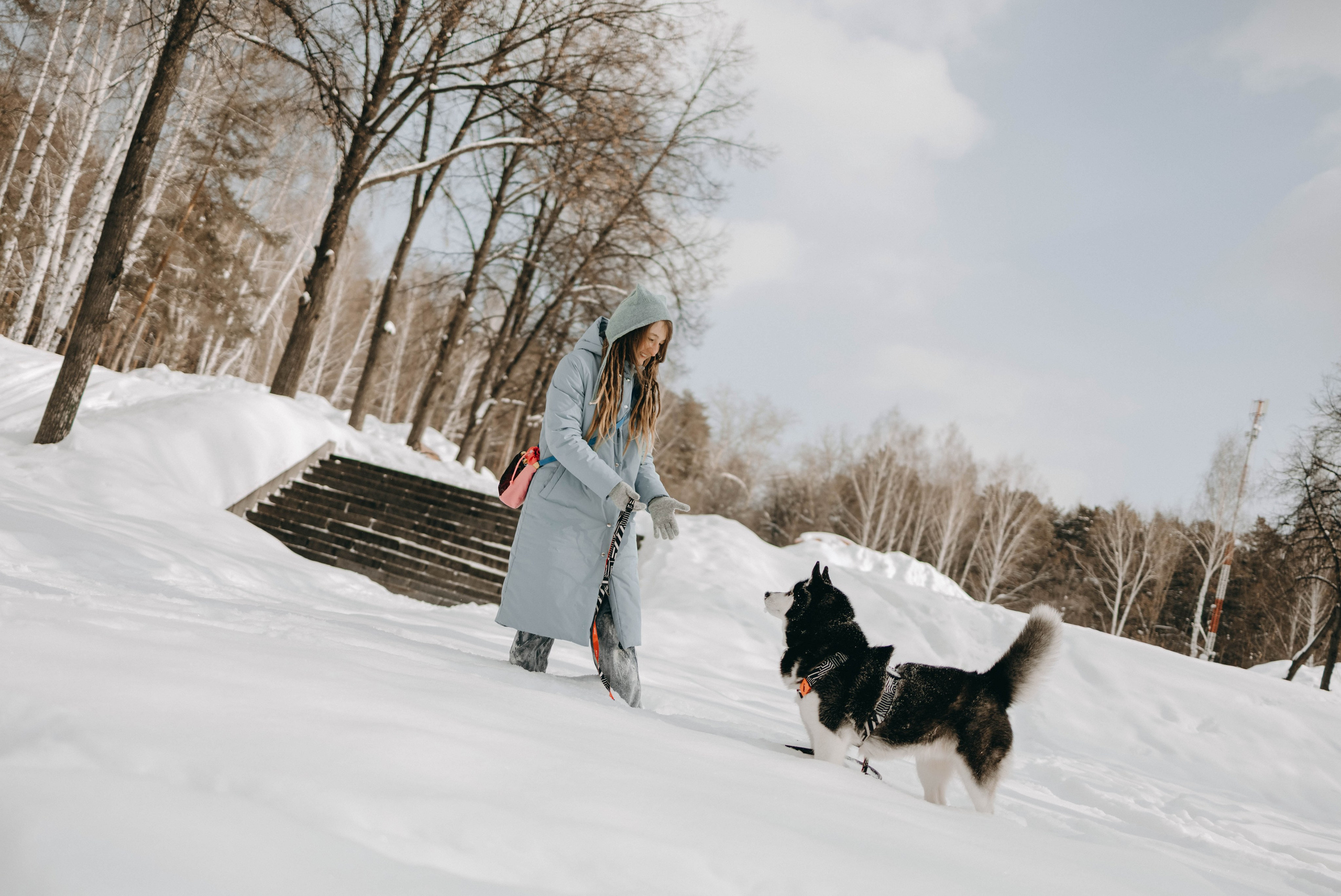 Анна и Вегас. Фотограф-анималист в Екатеринбурге | Кристина