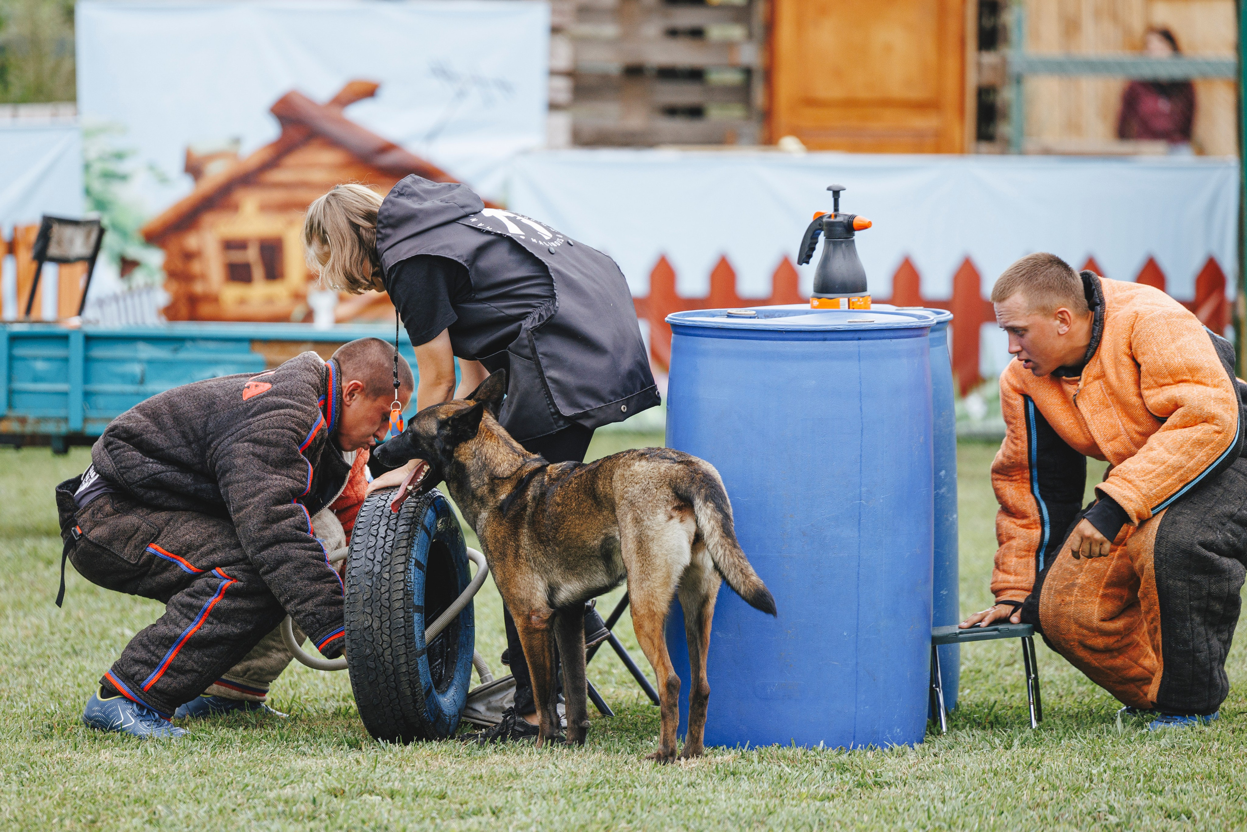08.08.25-10.08.25 ЧР по мондьорингу г. Вологда. Фотограф-анималист Анна Маринич