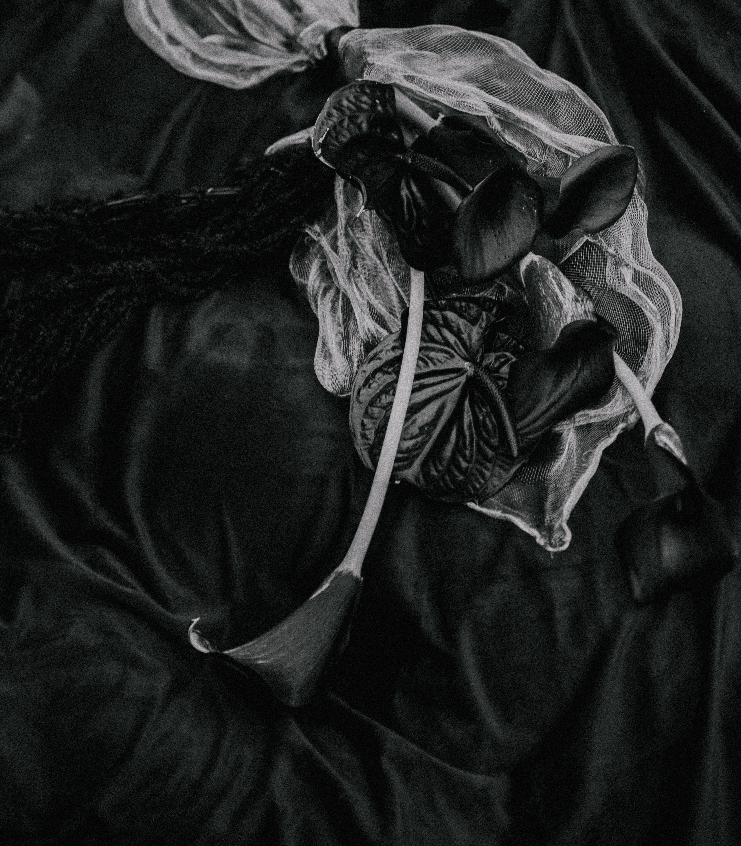 Никита и Жастина. Свадебный и семейный фотограф в Курске Николай Бусел