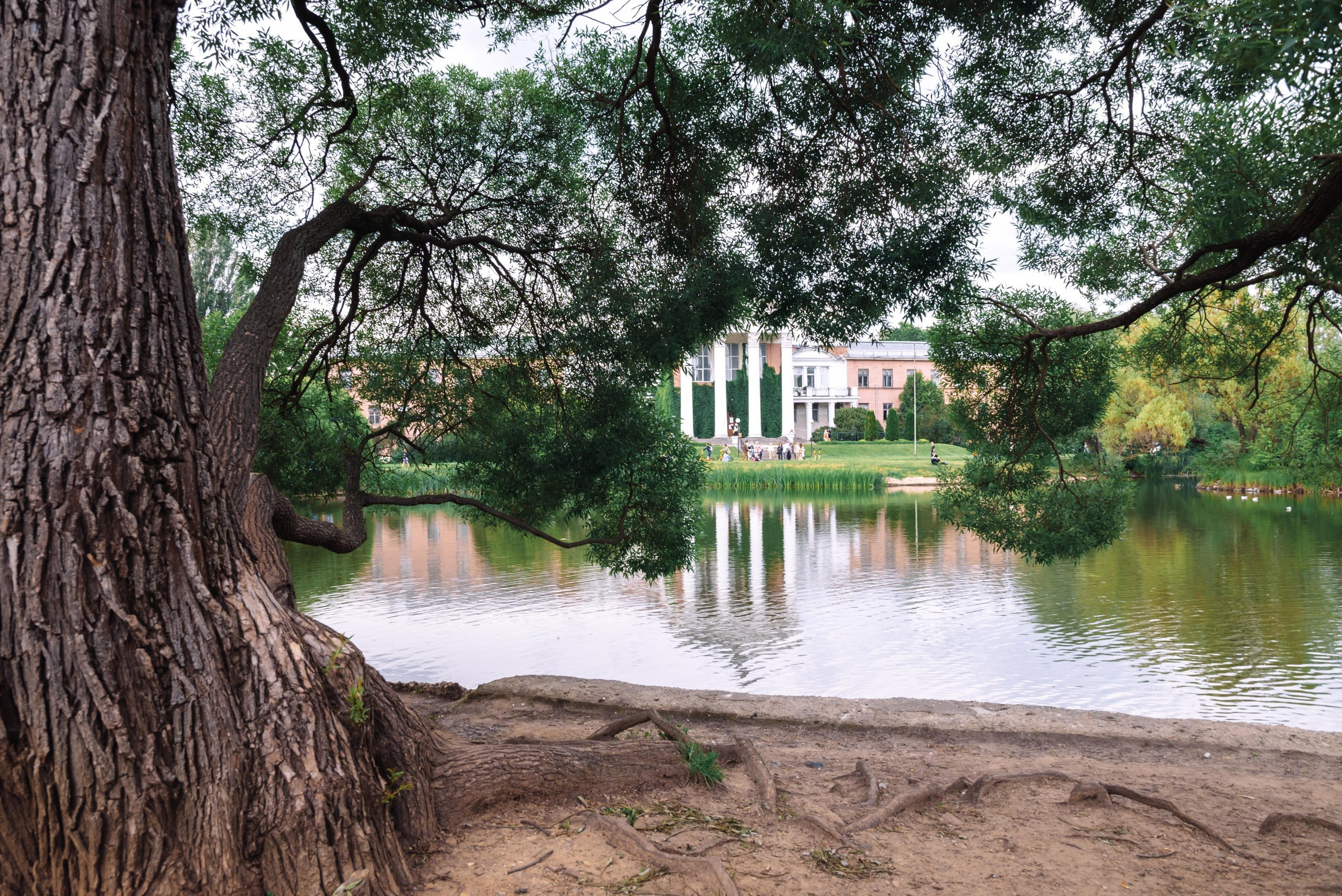 Love Story — Александра и Антон. Фотограф в Москве и Московской области (Ю-В) Олеся Макарова