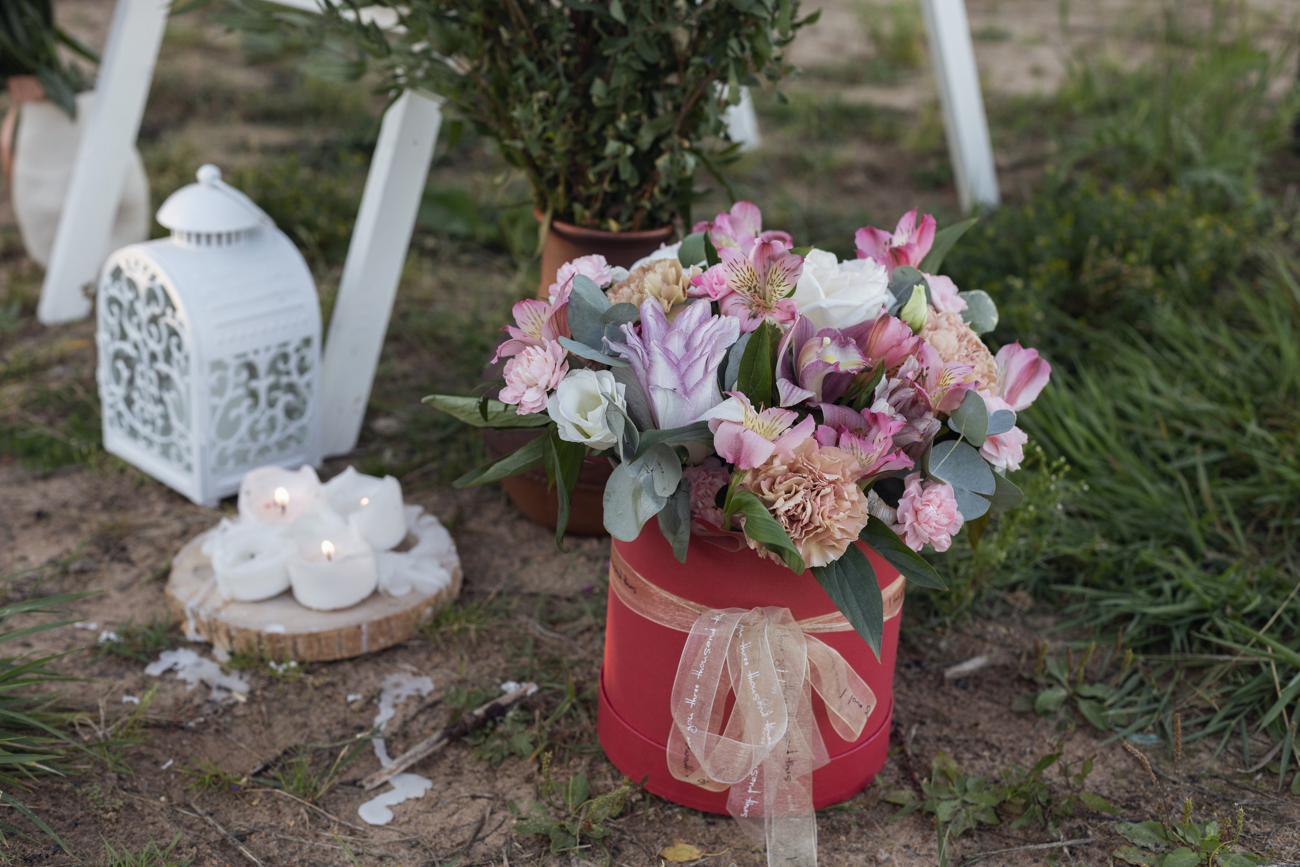 Один летний юбилей. Фотограф Великий Новгород