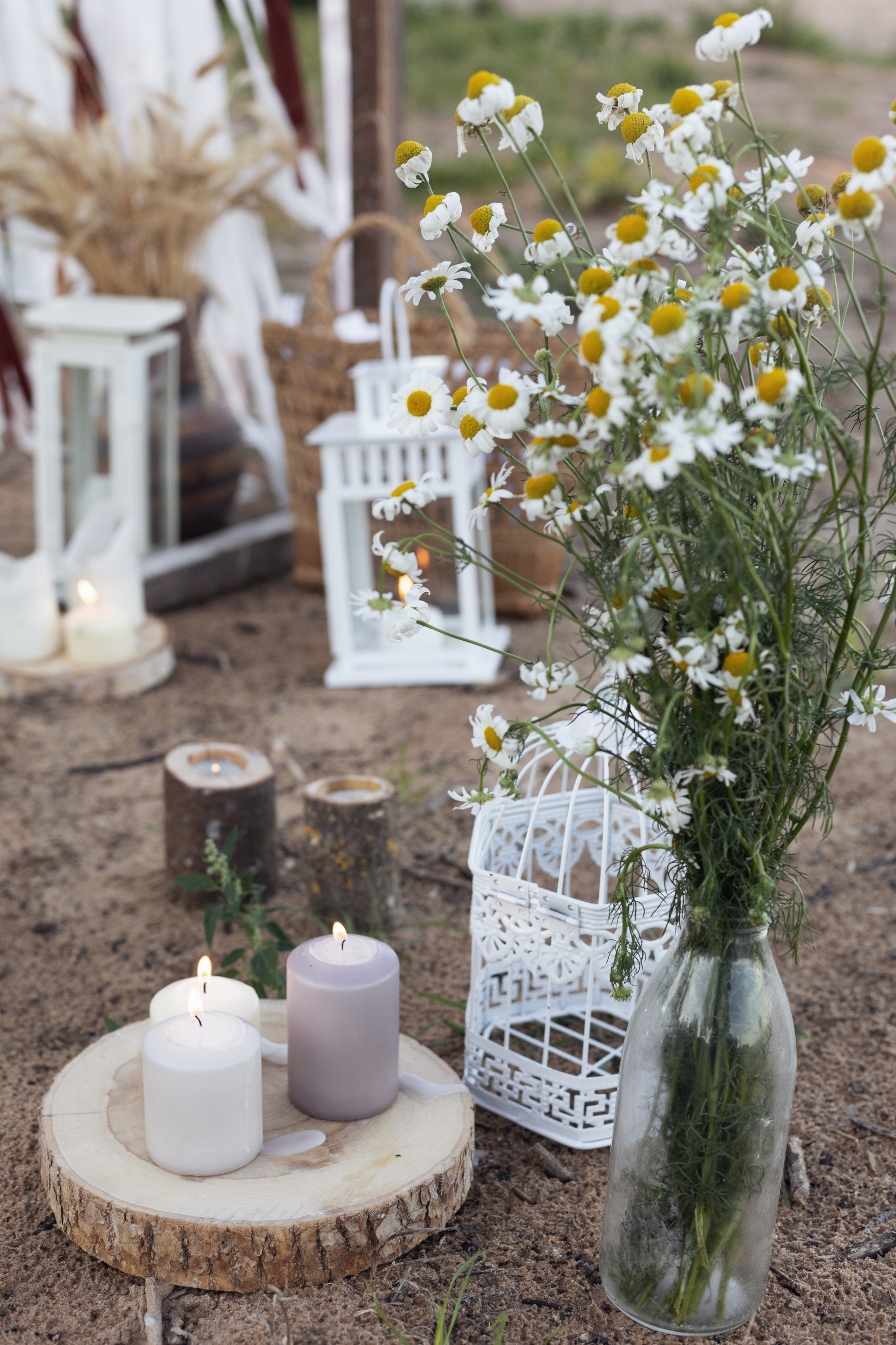 Один летний юбилей. Фотограф Великий Новгород