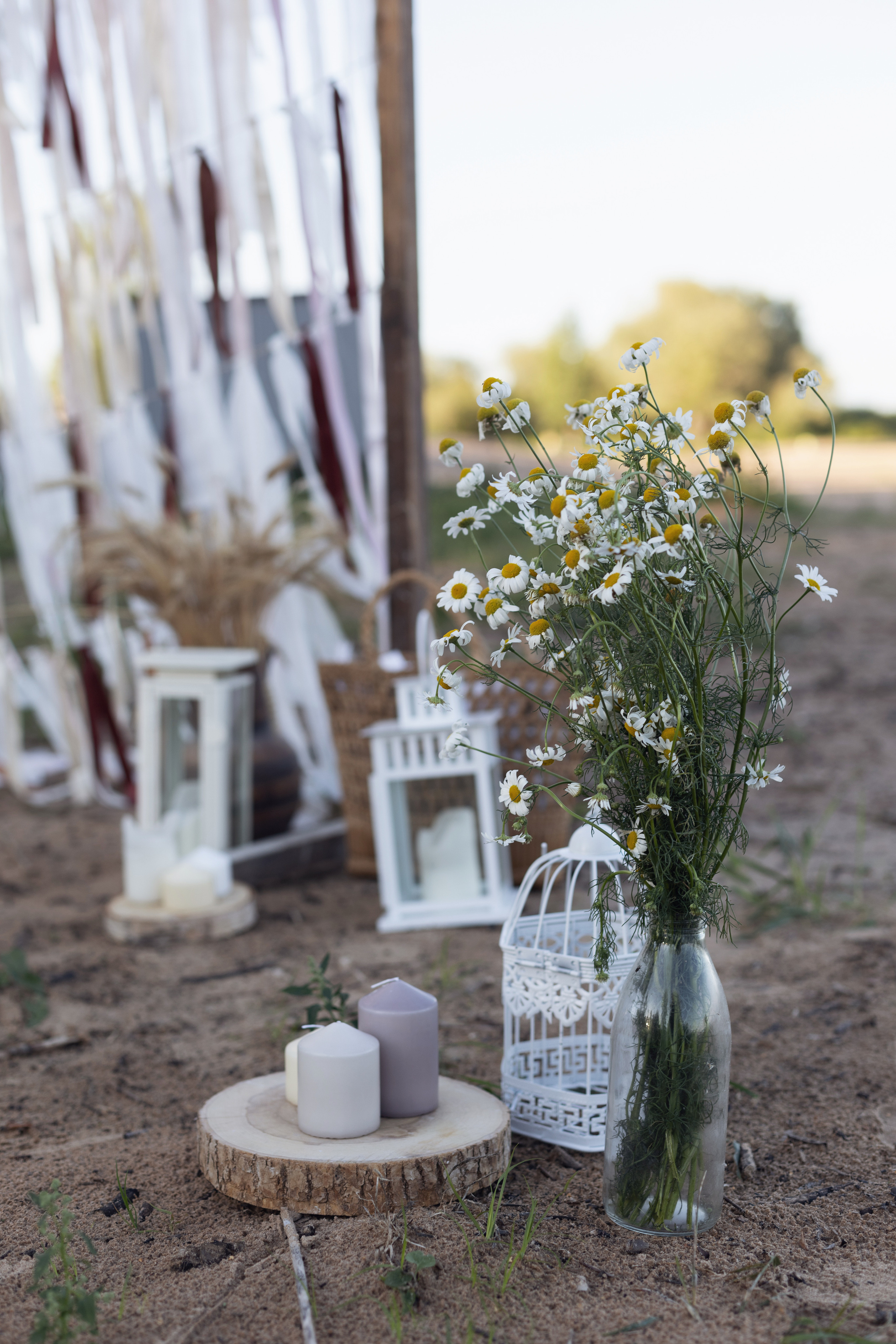 Один летний юбилей. Фотограф Великий Новгород