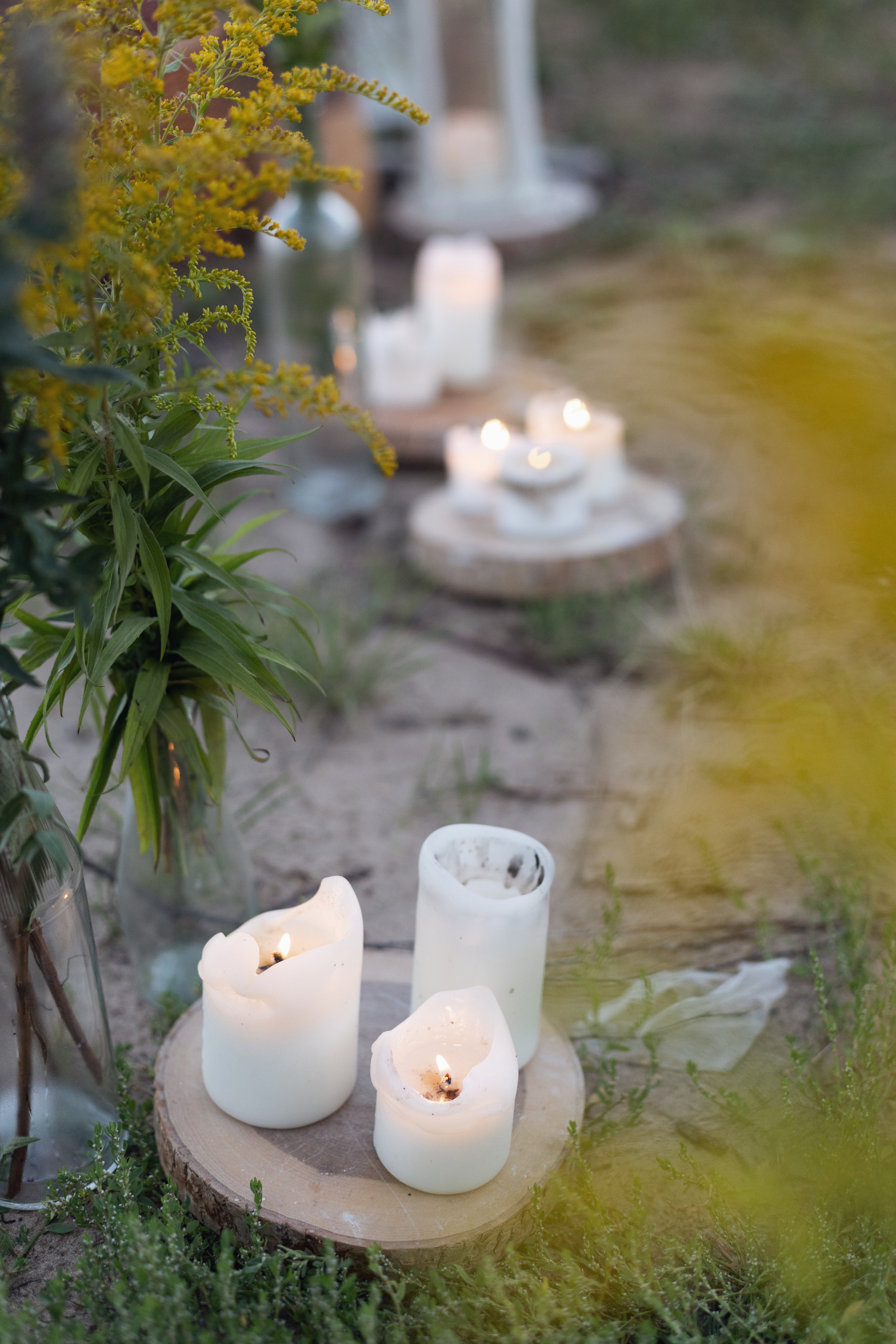 Один летний юбилей. Фотограф Великий Новгород