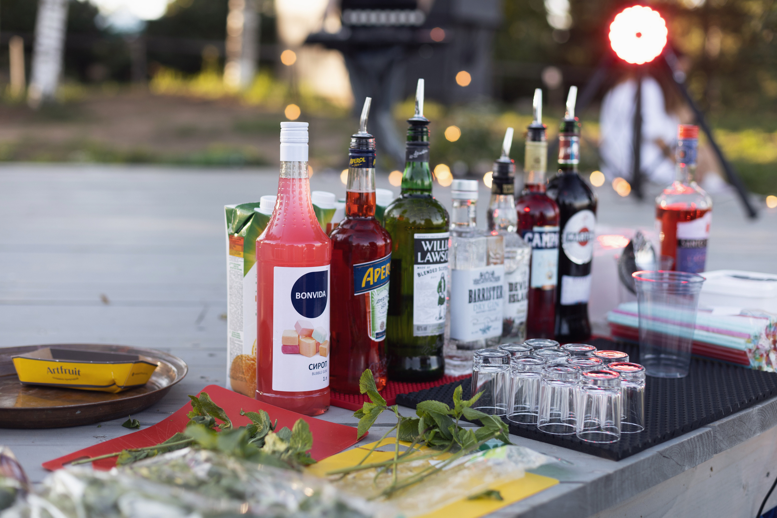 Один летний юбилей. Фотограф Великий Новгород