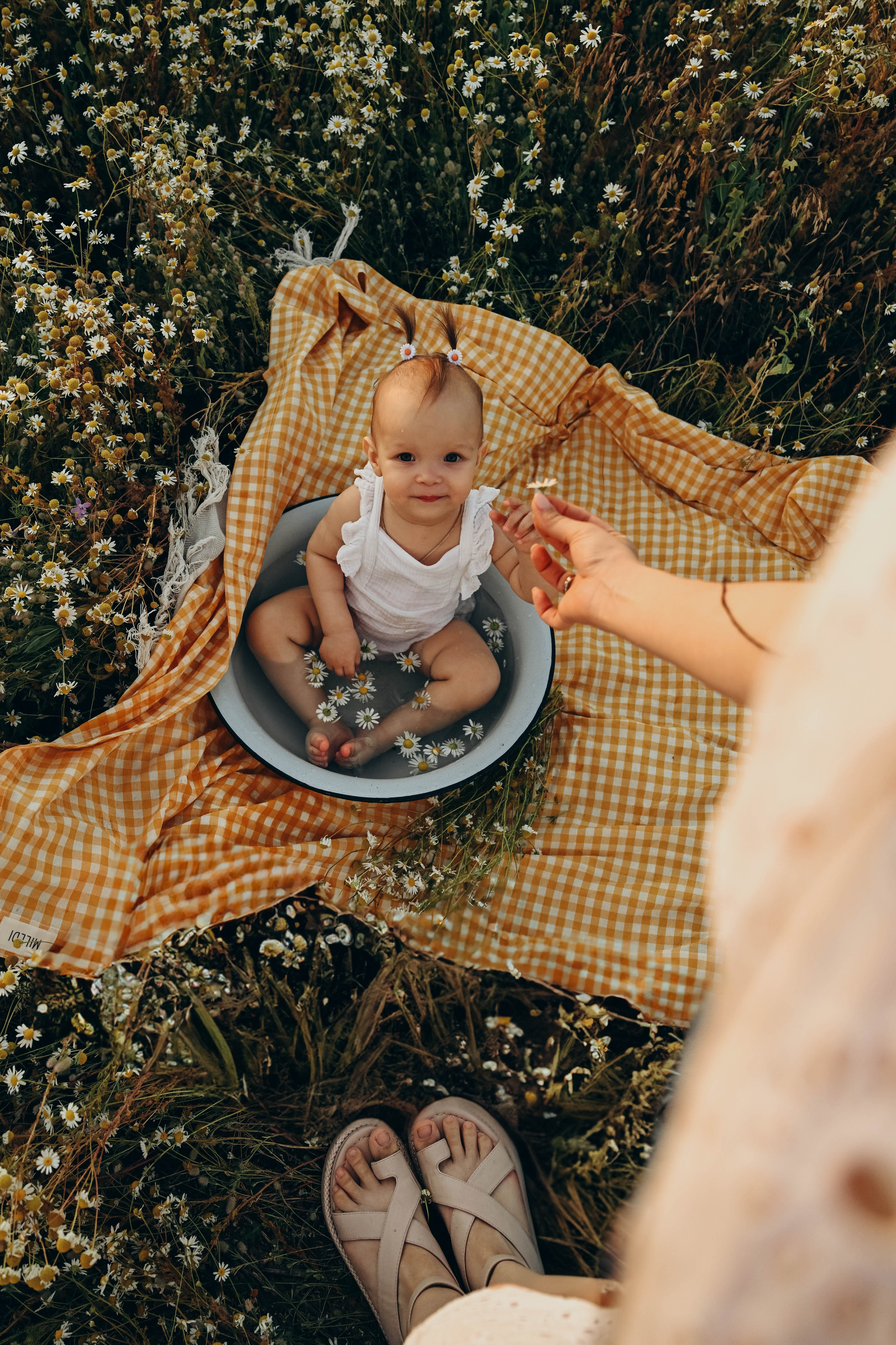 Ромашковое поле. Семейный фотограф в Москве Люберцах Ирина Вронская