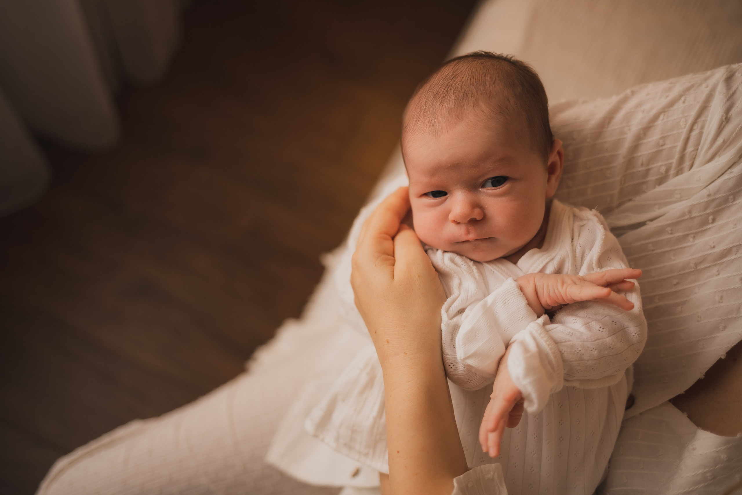 Портфолио. Семейный фотограф в Москве Елена Дудкина