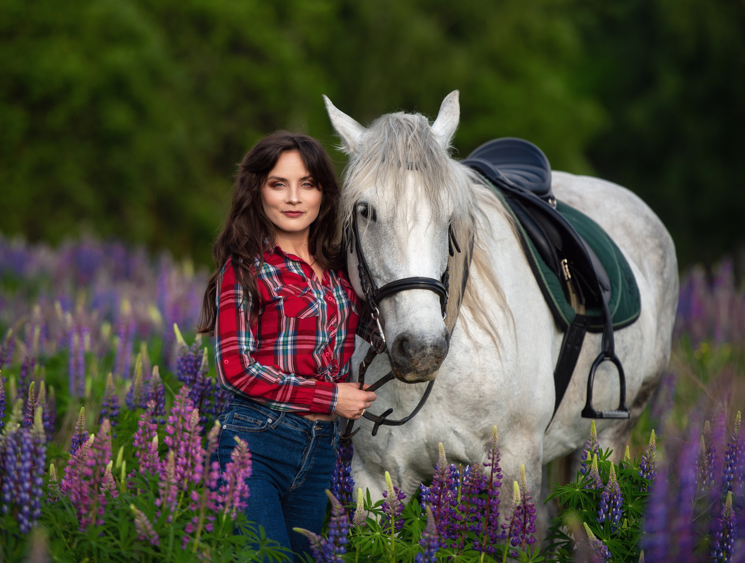 Индивидуальные. Фотограф с лошадьми в Калининграде Татьяна Ларина