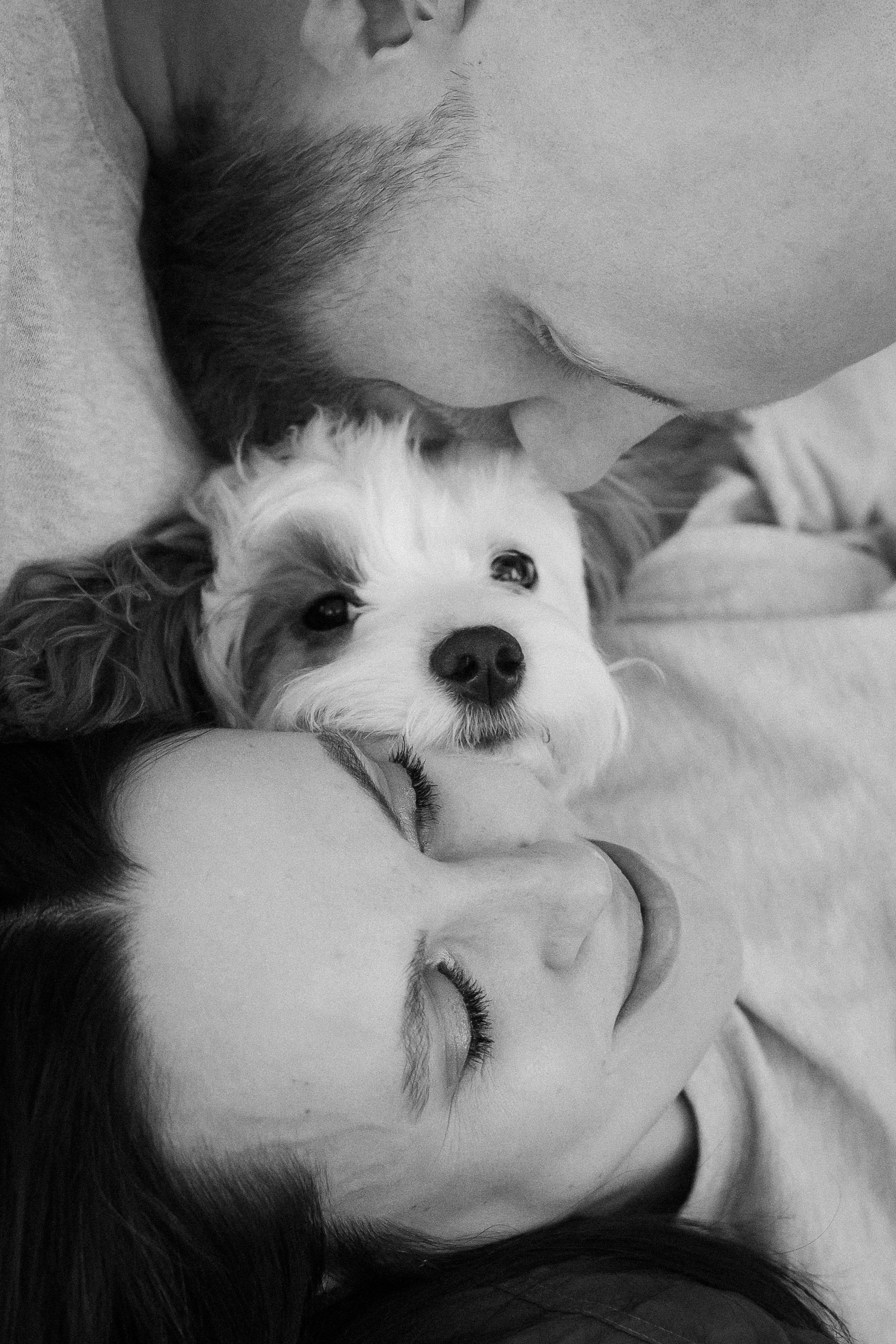 Сабина, Ярослав и Юта