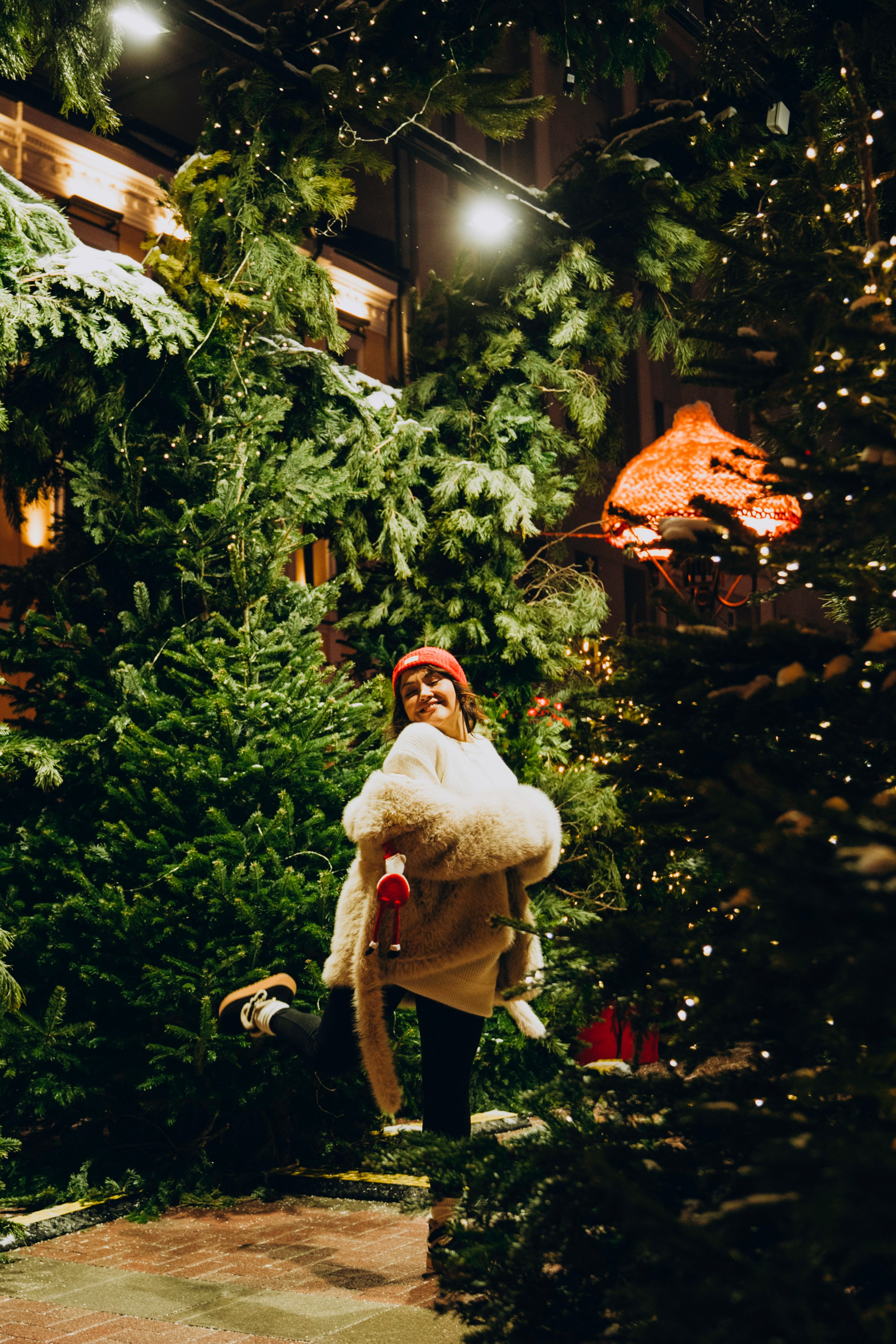 Новогодние прогулки