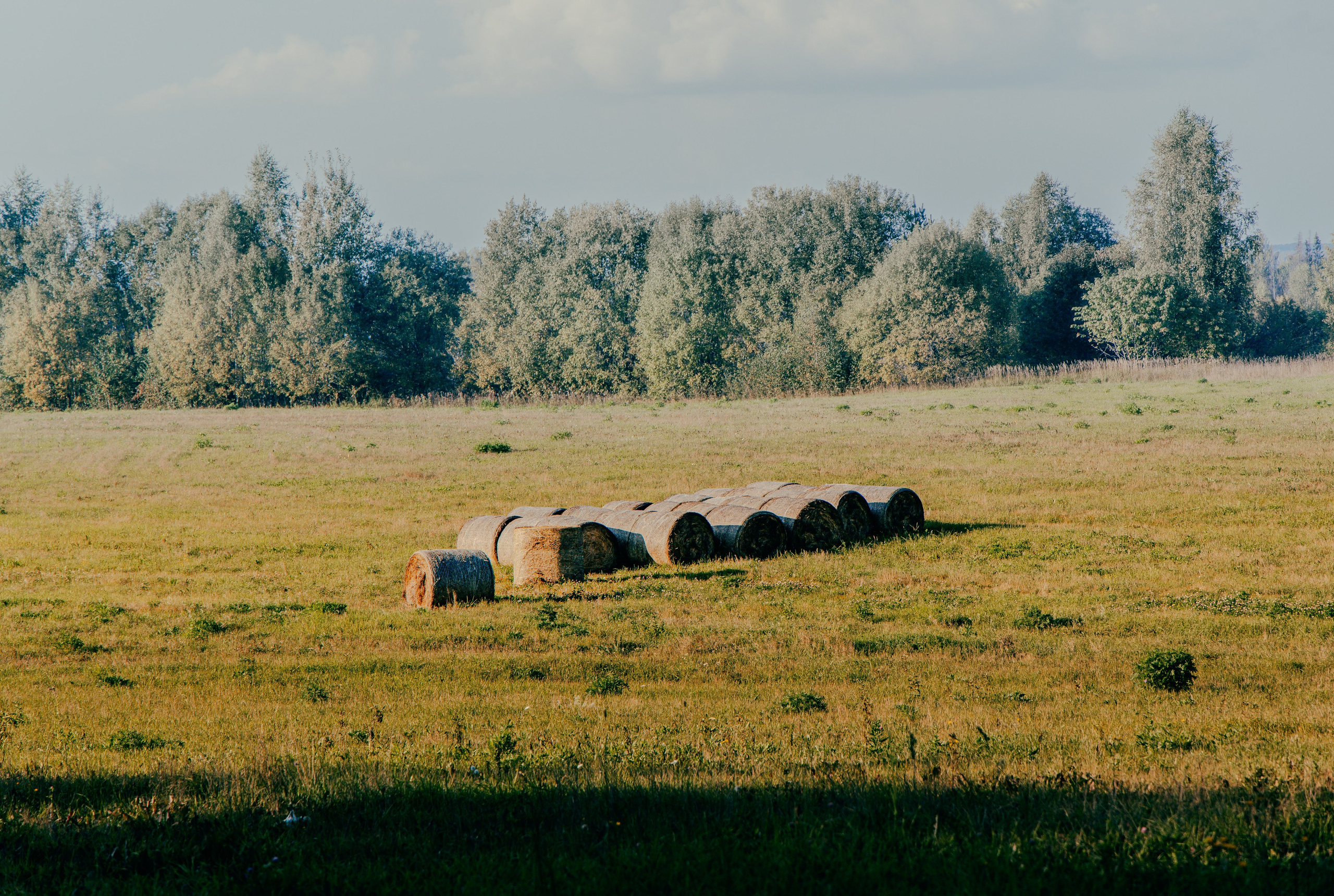 Пейзаж. Фотограф Александр Тихонов