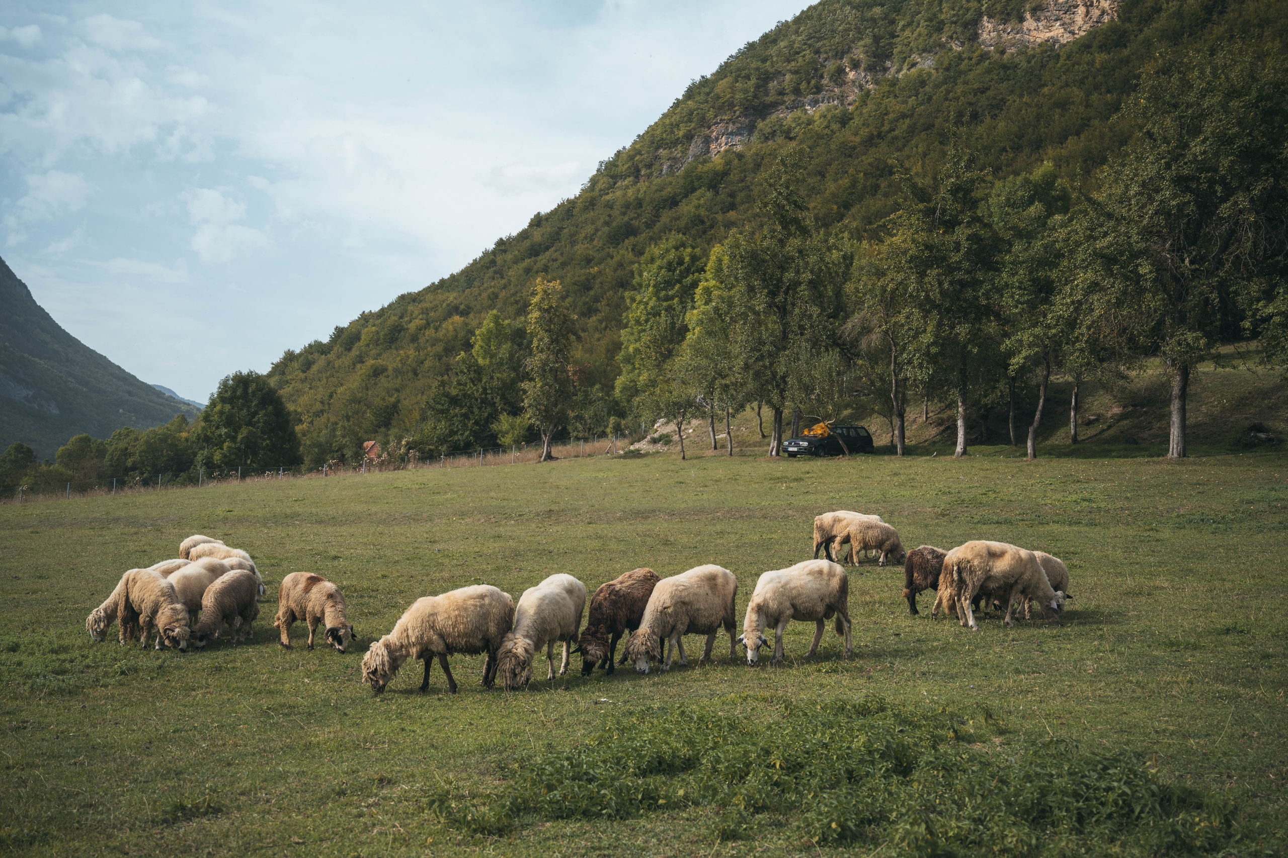 ДОЛИНА РАПОЯНА. ЧЕРНОГОРИЯ. Фотограф в Белграде Чугреева Елена