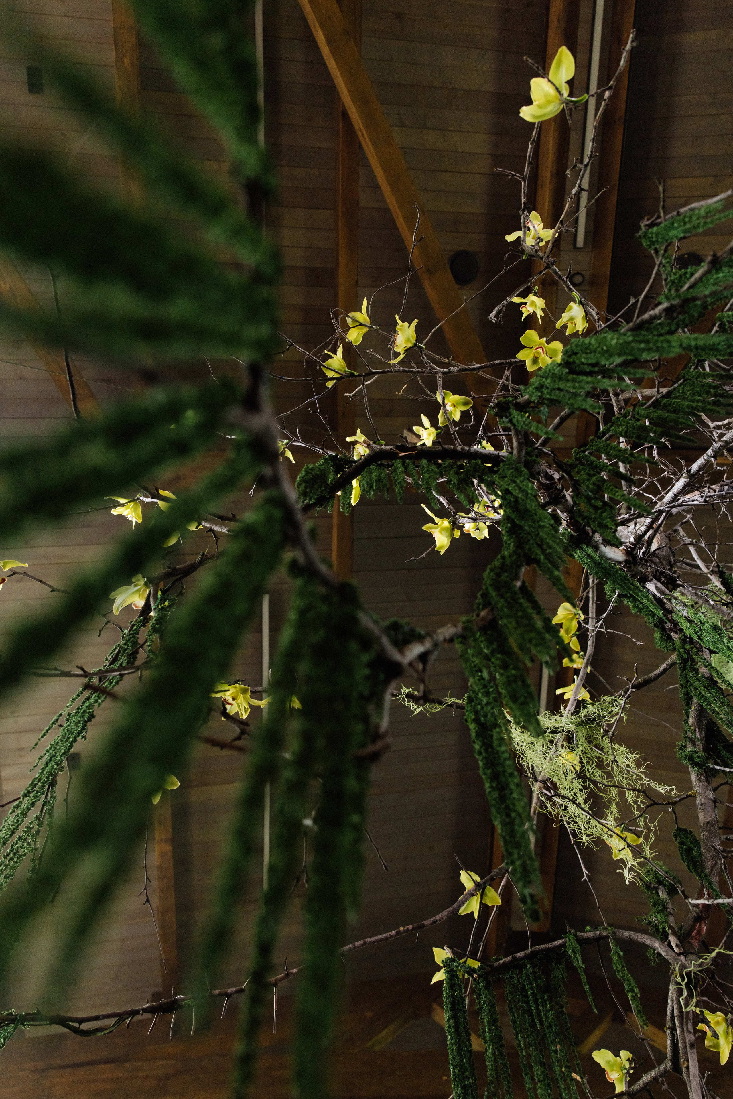 @avtors.agency. Свадебный и репортажный фотограф в Москве Владимир Сергеев | Naysaikolo