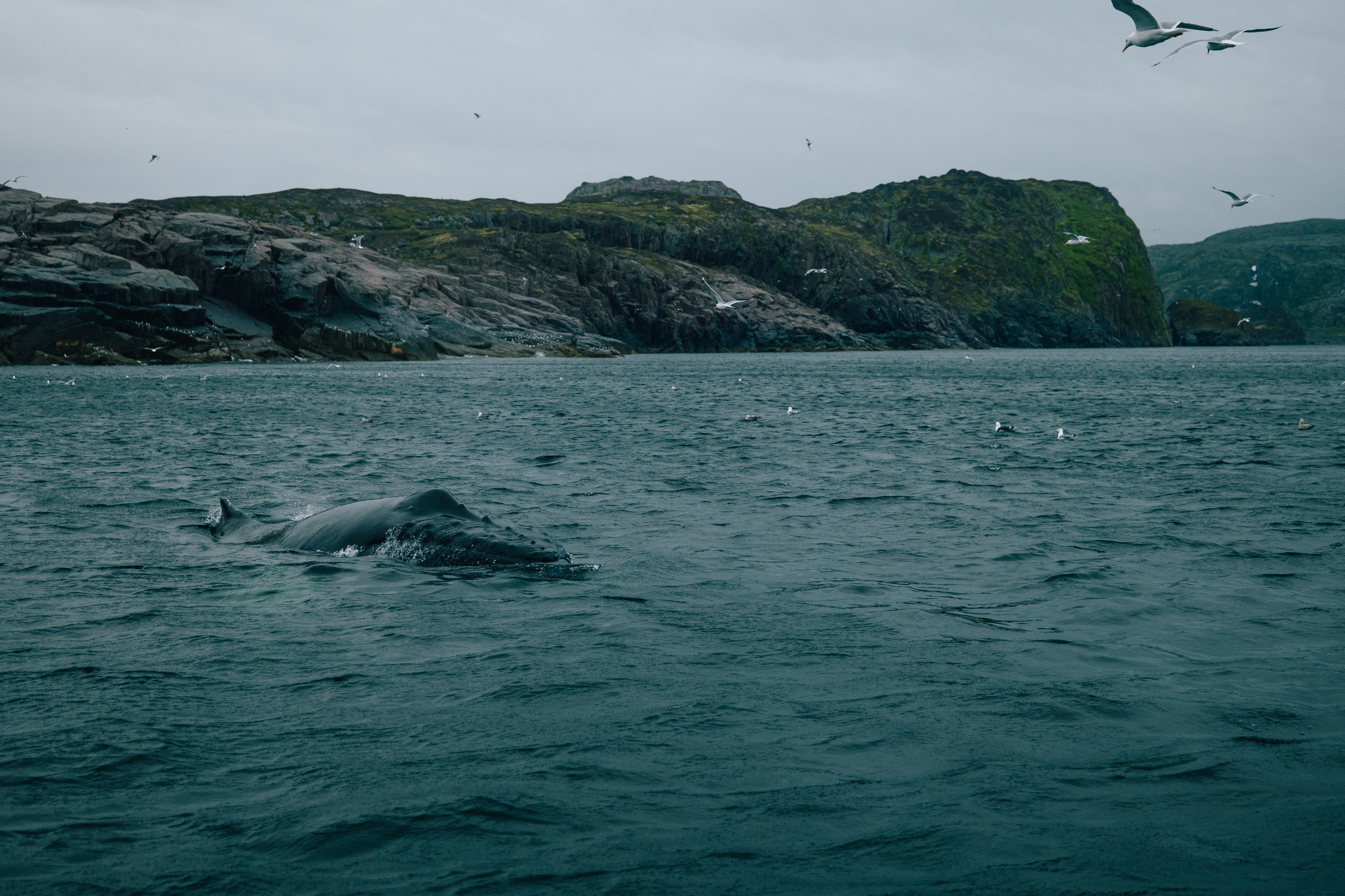 ТЕРИБЕРКА. Создание контента | Фото | Видеосъемка | Александр Ярков