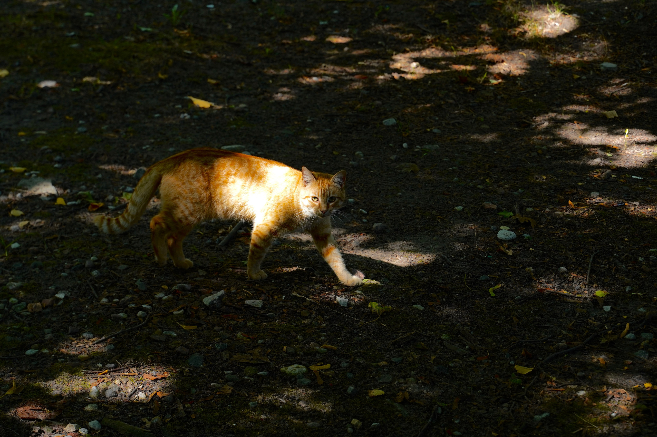 Заметки. Колесникова Мария Арт-фотограф