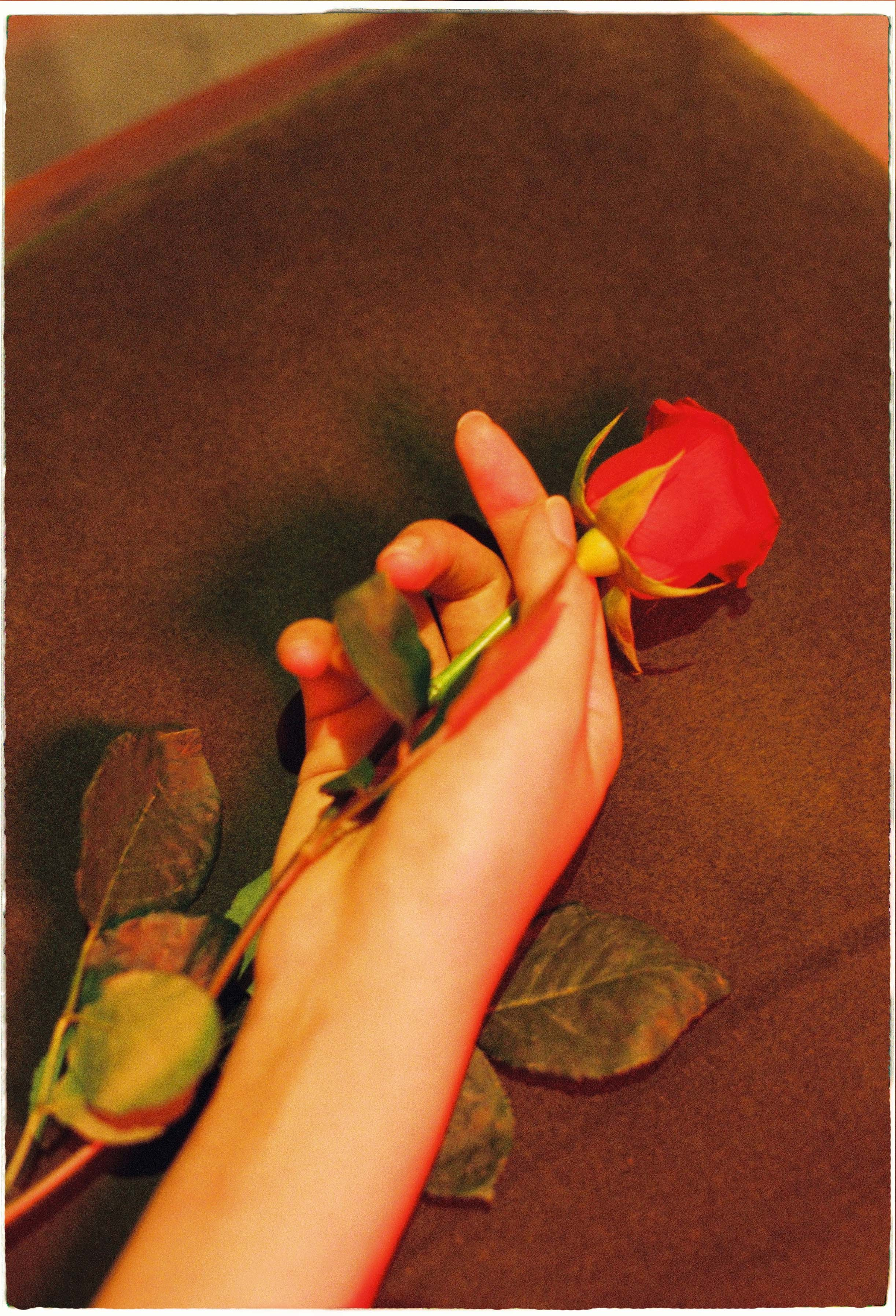 Film Photographer in Da Nang, Vietnam — Tanya Parfenteva