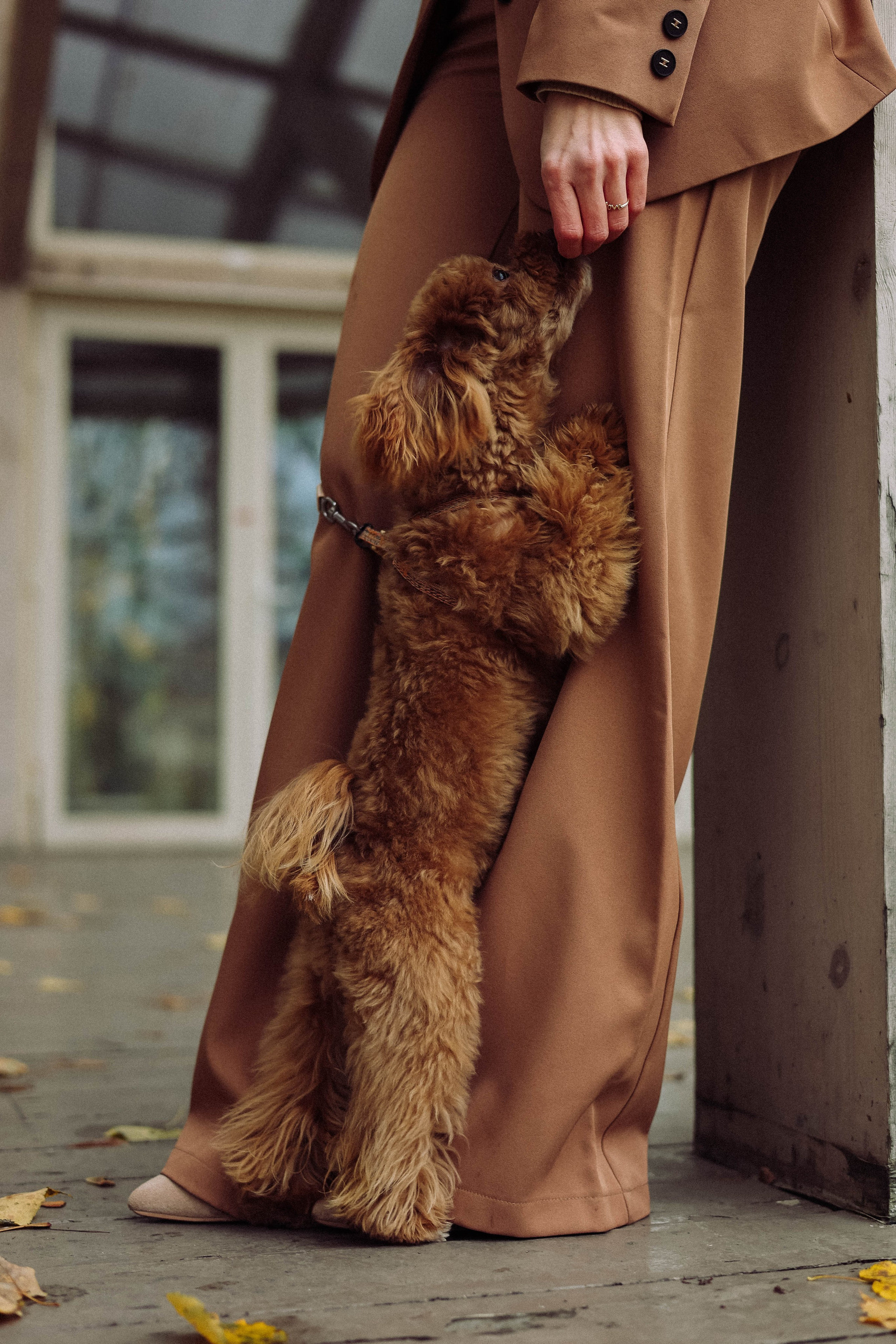 Кира. Фотограф в Москве Анастасия Калинина