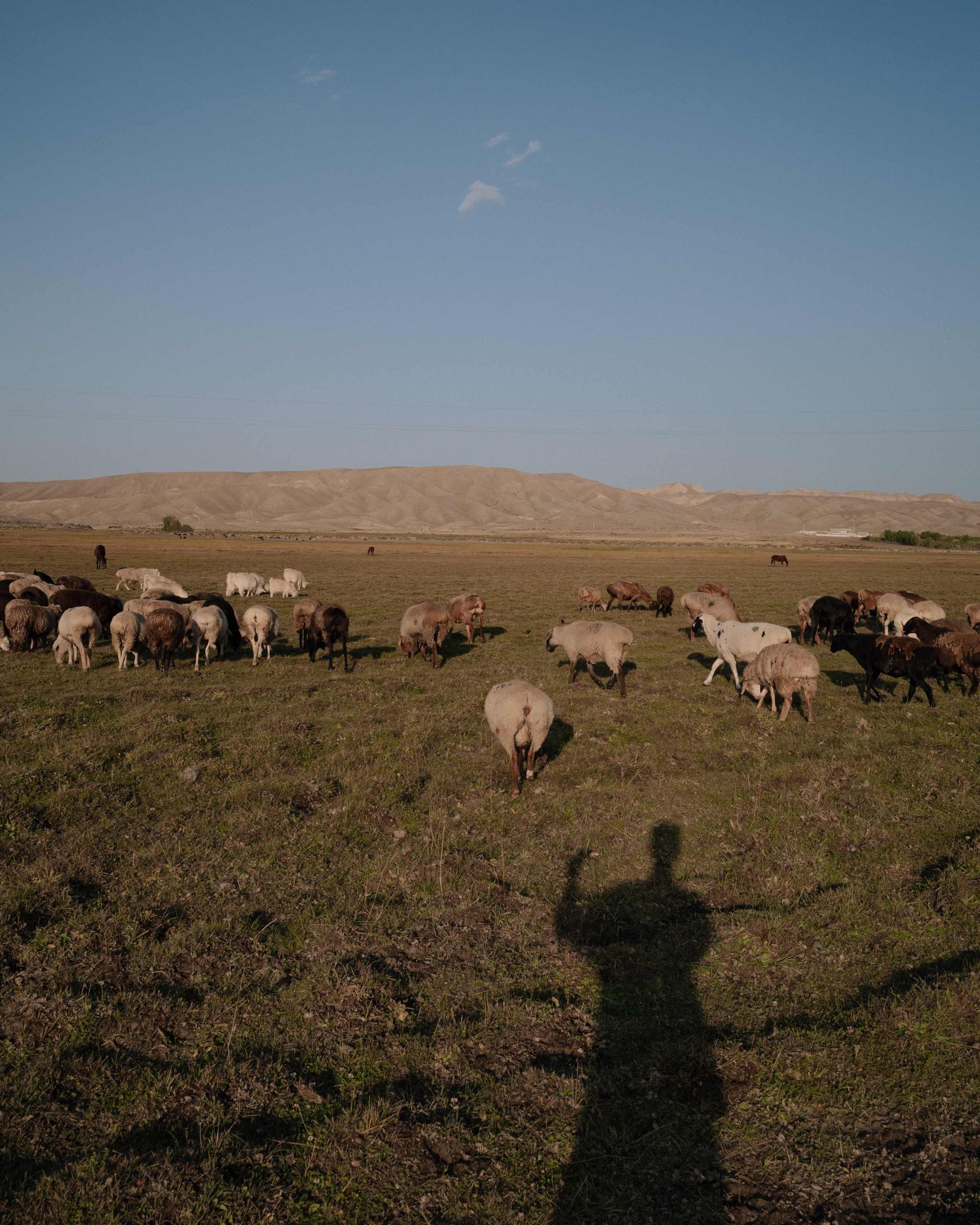 STREET. Портретный и репортажный фотограф в Санкт-Петербурге Максим Пашков