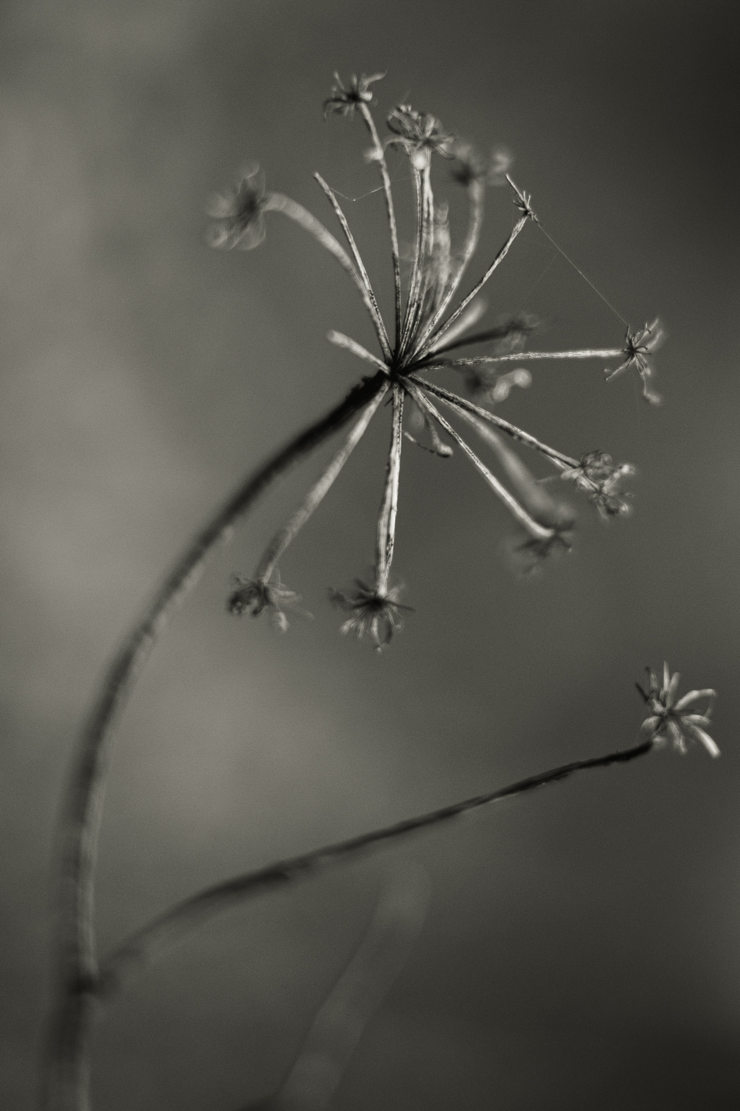 Обо мне. Anastasia N | Фотограф Челябинск