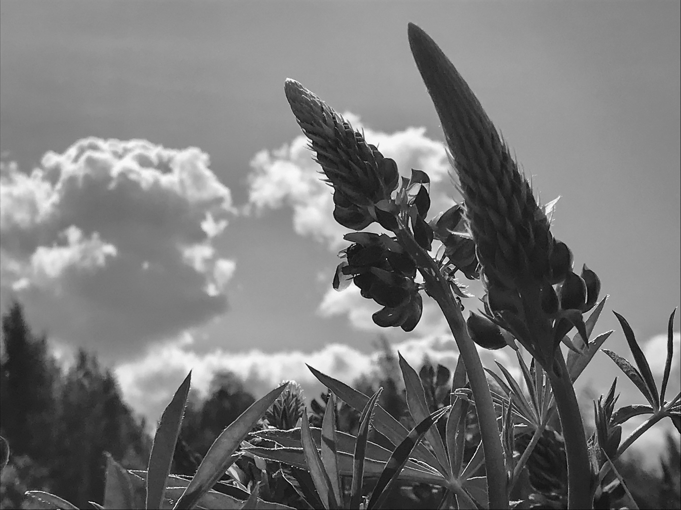 Новый день — Новое отражение. Аmat Victoria Сuram