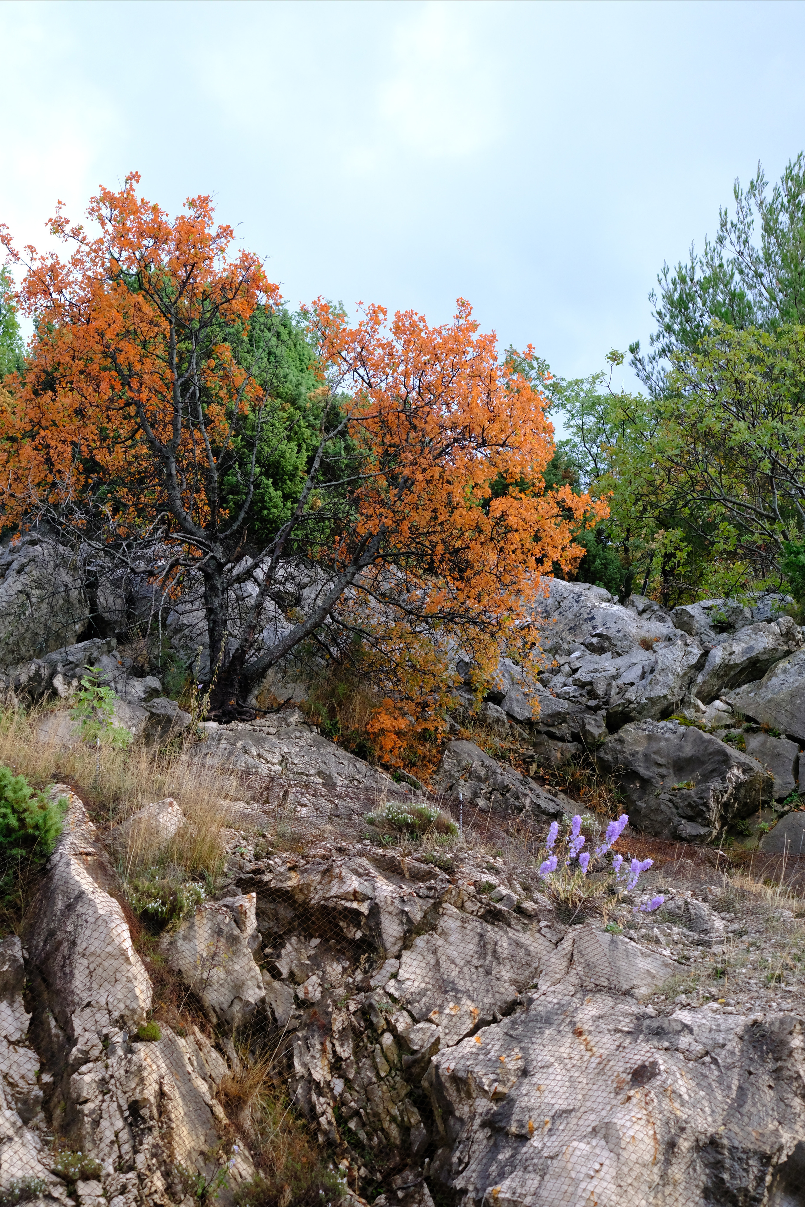 Путешествие в Боснию. Фотограф в Москве Ирина Иванова