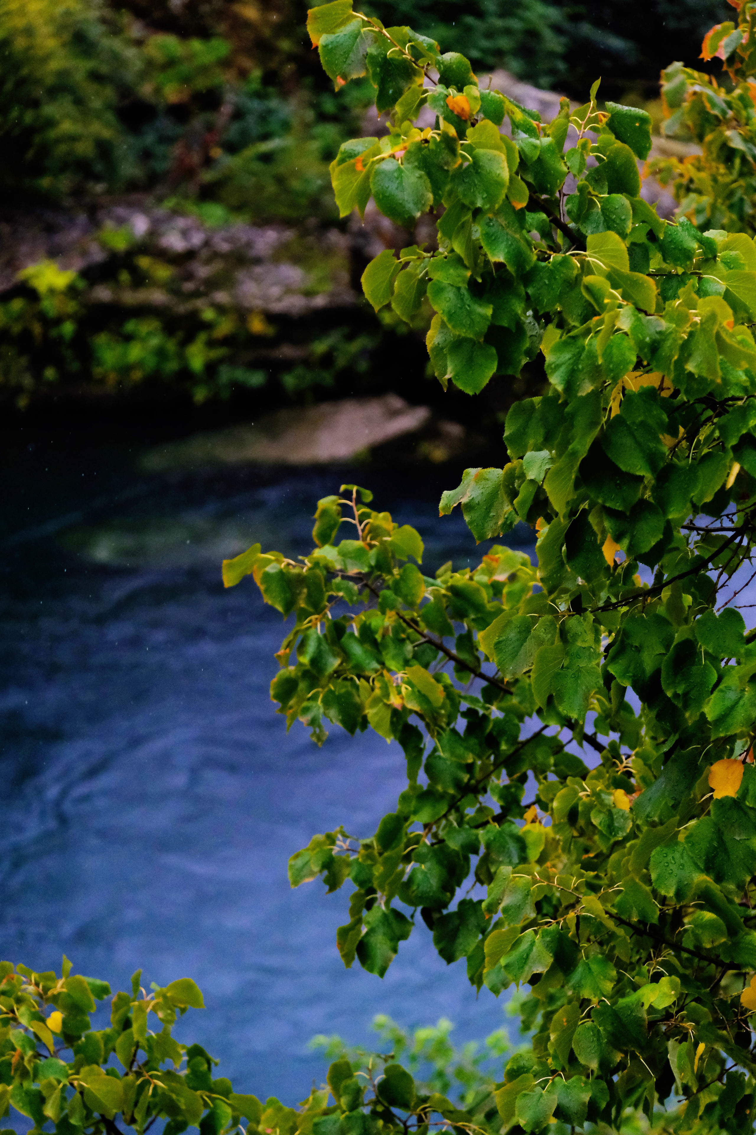 Путешествие в Боснию. Фотограф в Москве Ирина Иванова