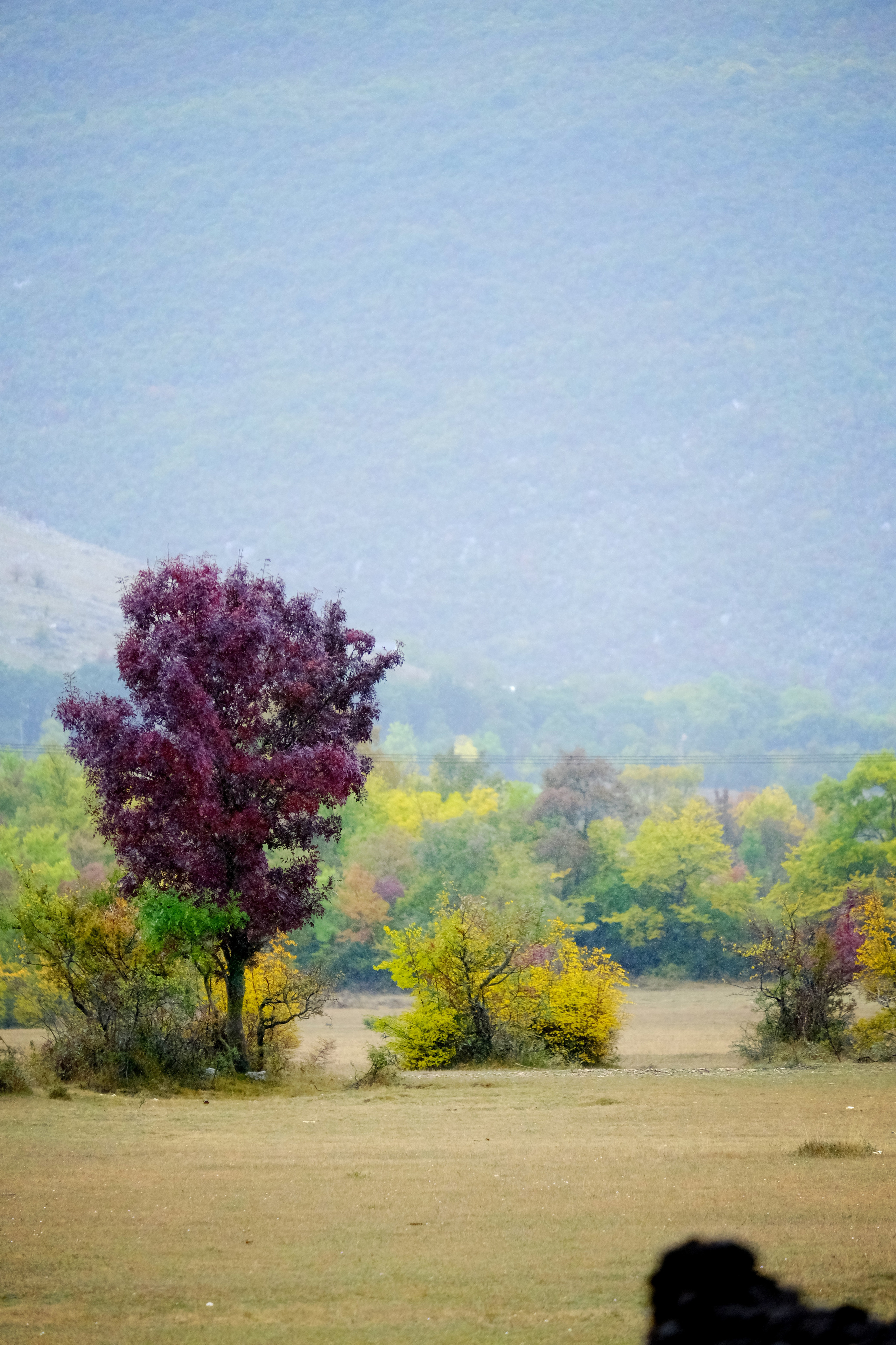 Путешествие в Боснию. Фотограф в Москве Ирина Иванова