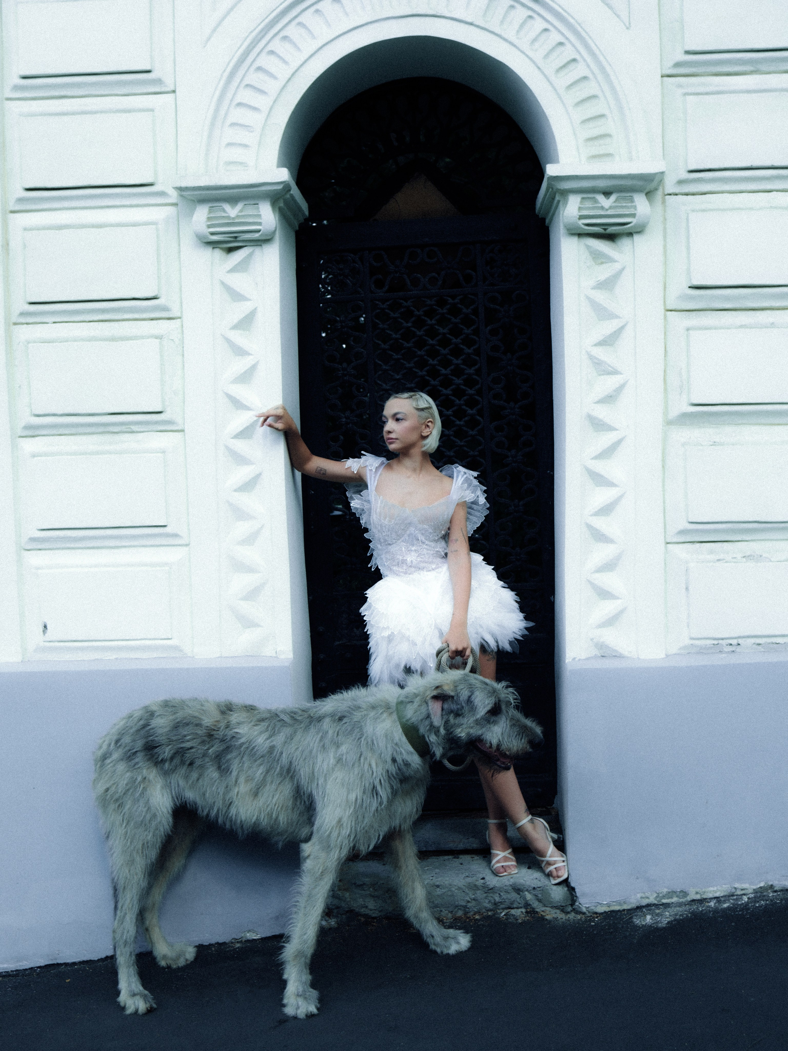 Dogbar. Dariaegudina.ru