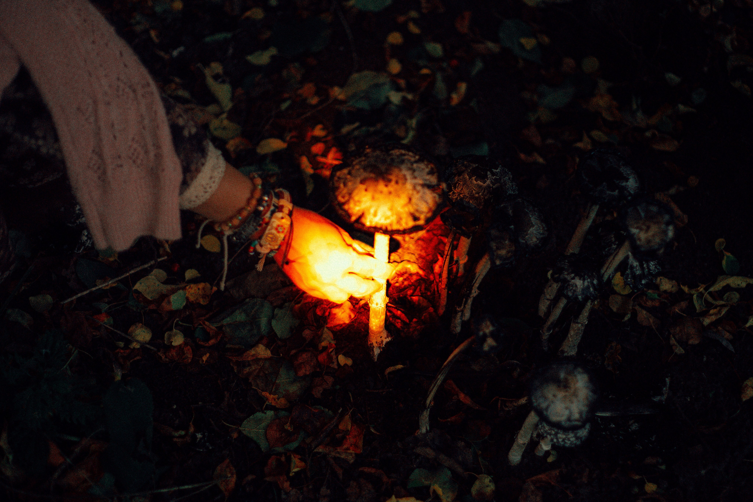 Лес. Колдунья. И волшебные грибы. Арт-фотограф Крис Л. в Тобольске: портрет, семейные, свадьбы
