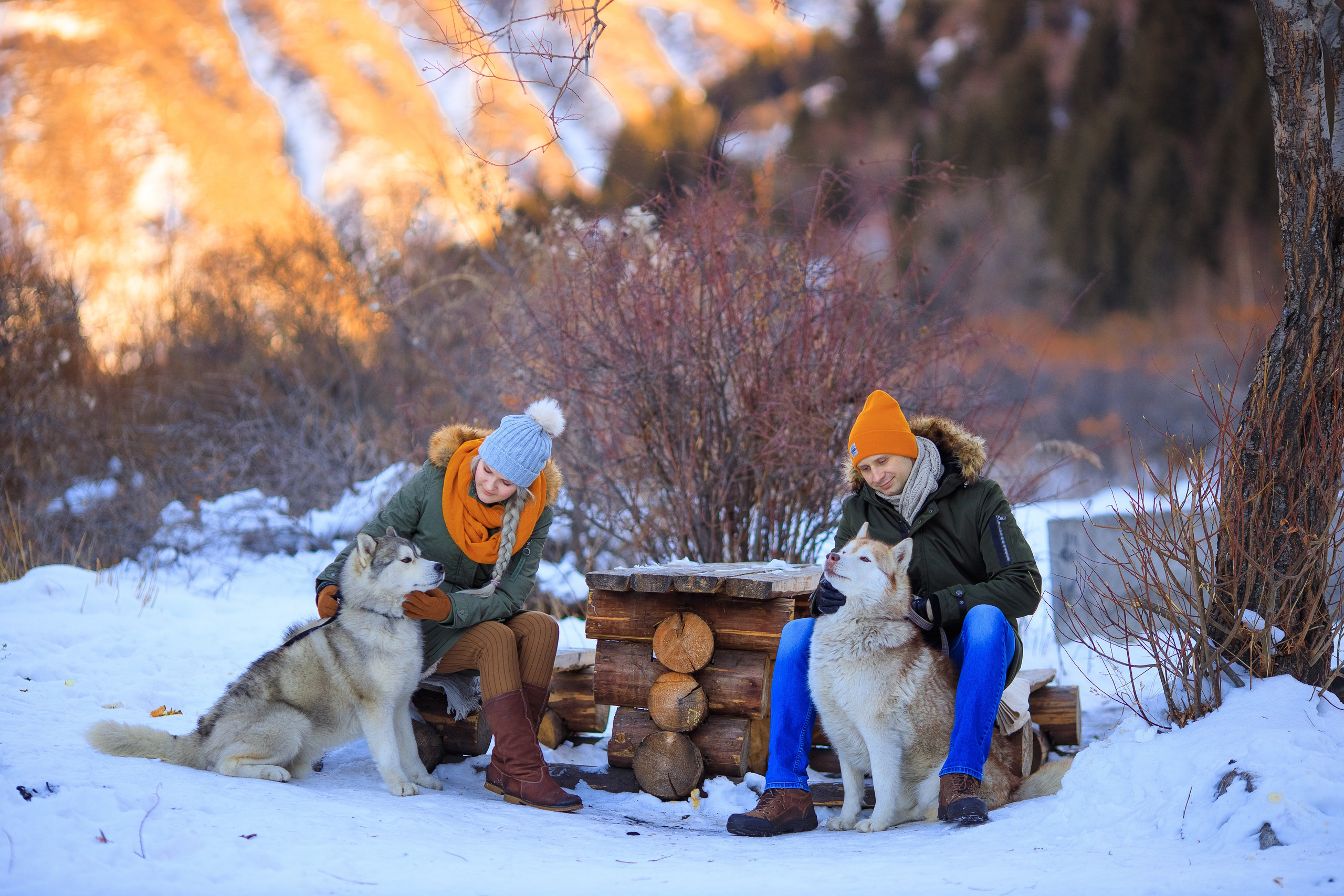 Зимняя фотосессия с Хаски. Свадебный и семейный фотограф в Алматы Алексей Балышев