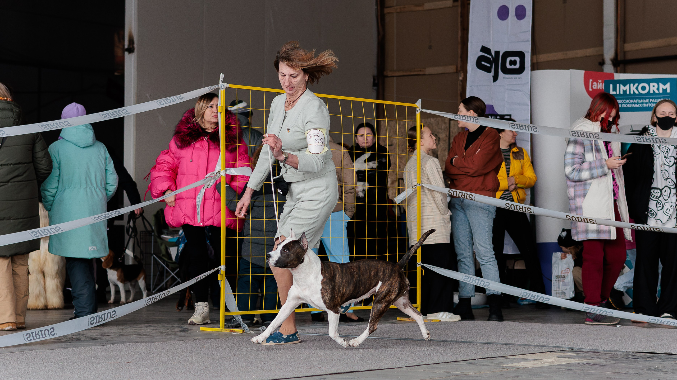 Выставки. Фотограф Марк Файзулин