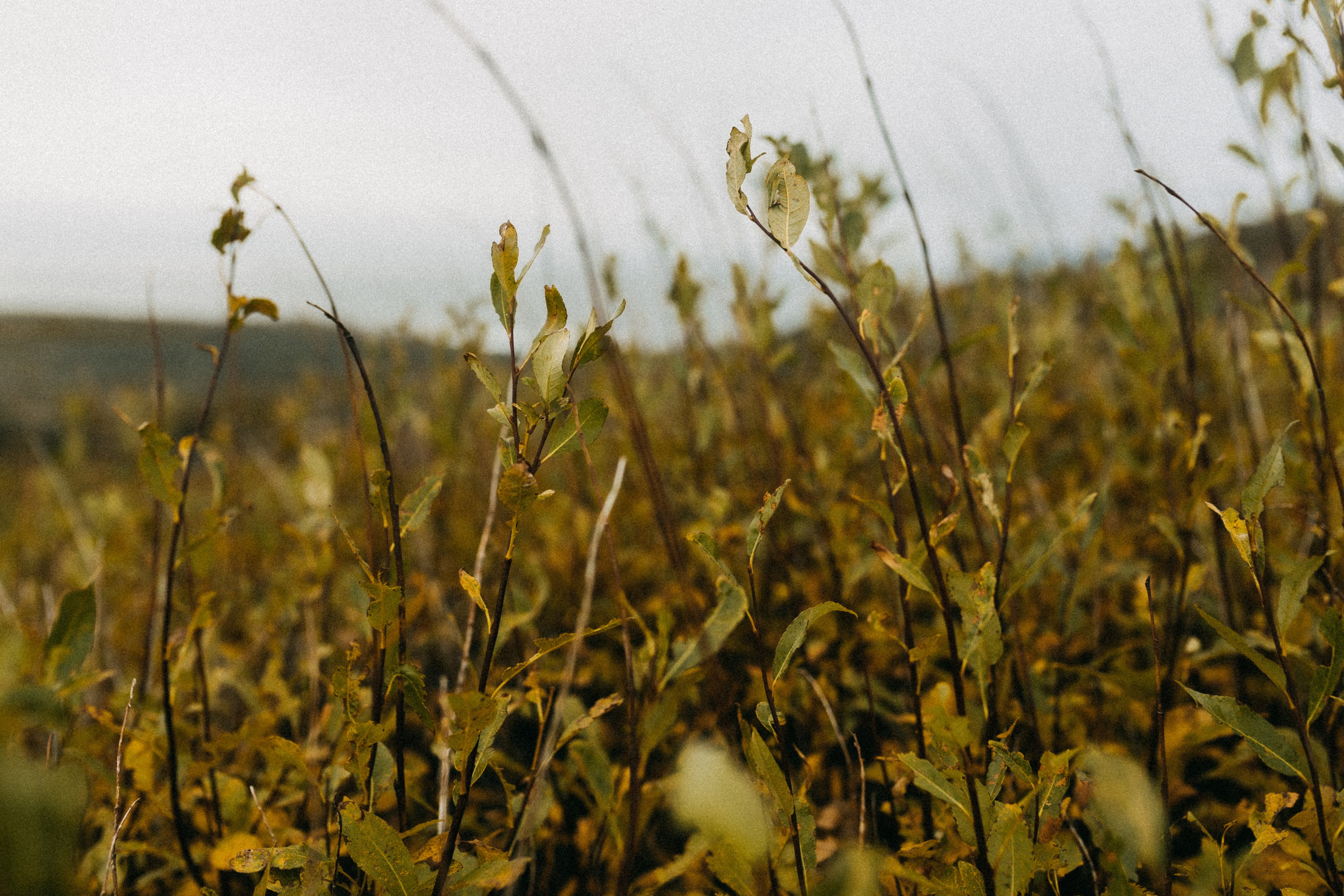 Лиза и Даня Териберка. Фотограф в Санкт-Петербурге