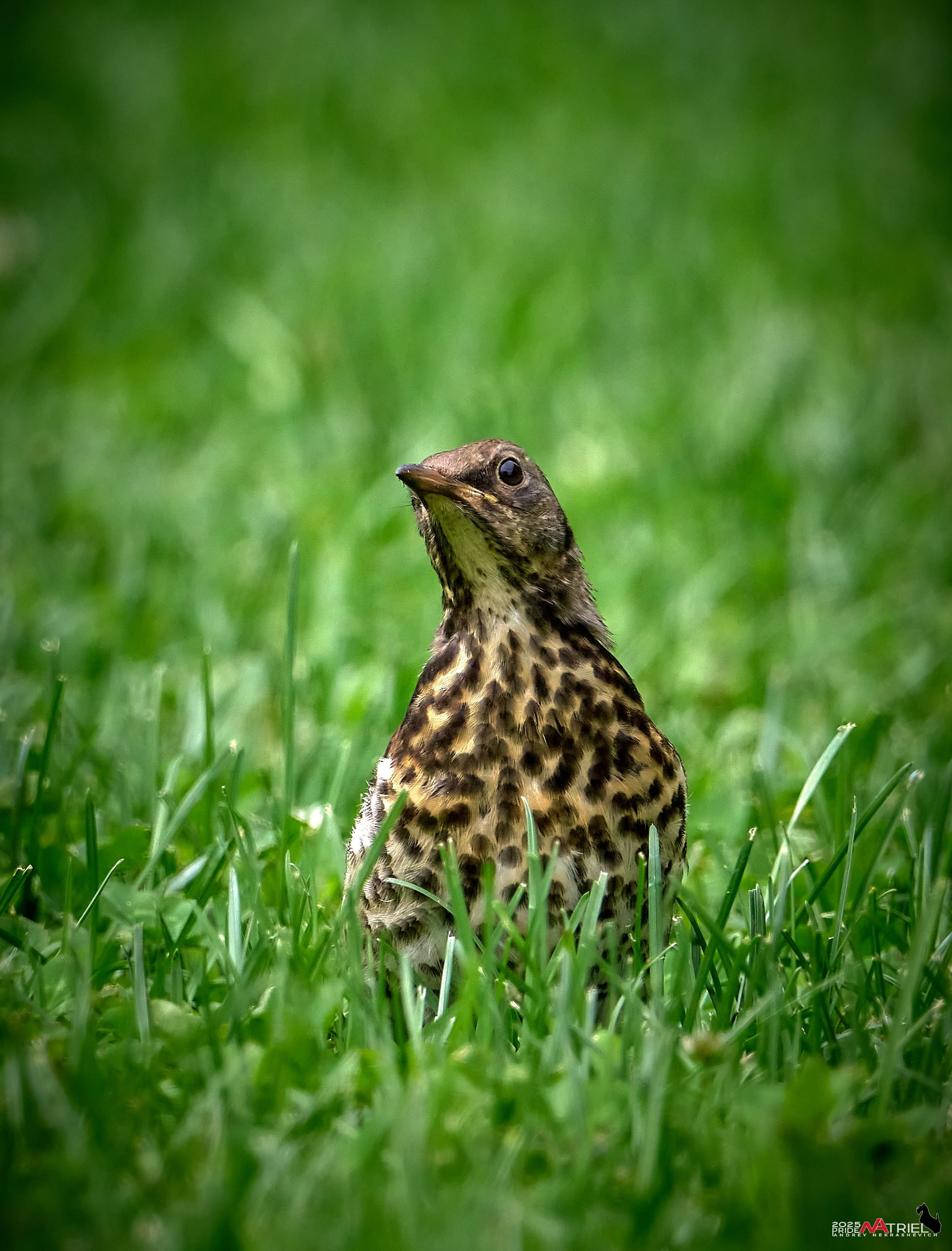 Съемка в парке на воде