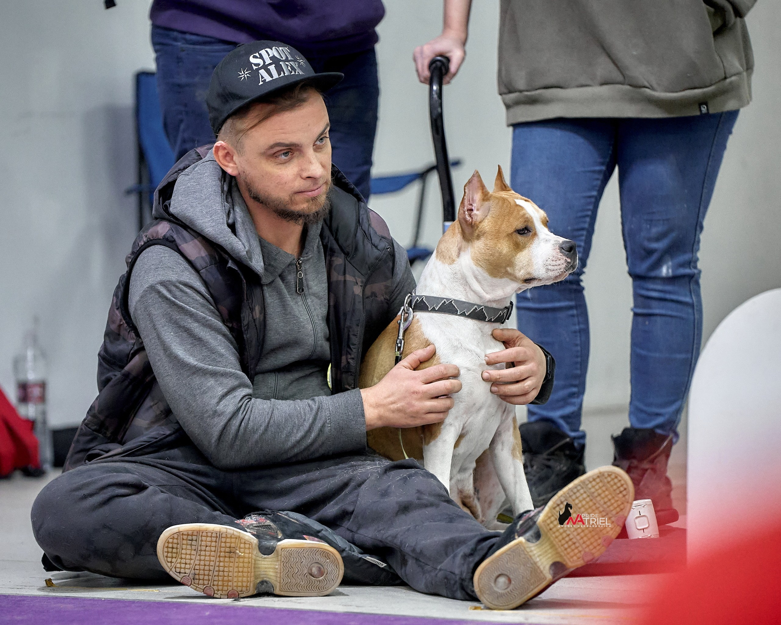 Собаки и Люди — галерея NATRIEL