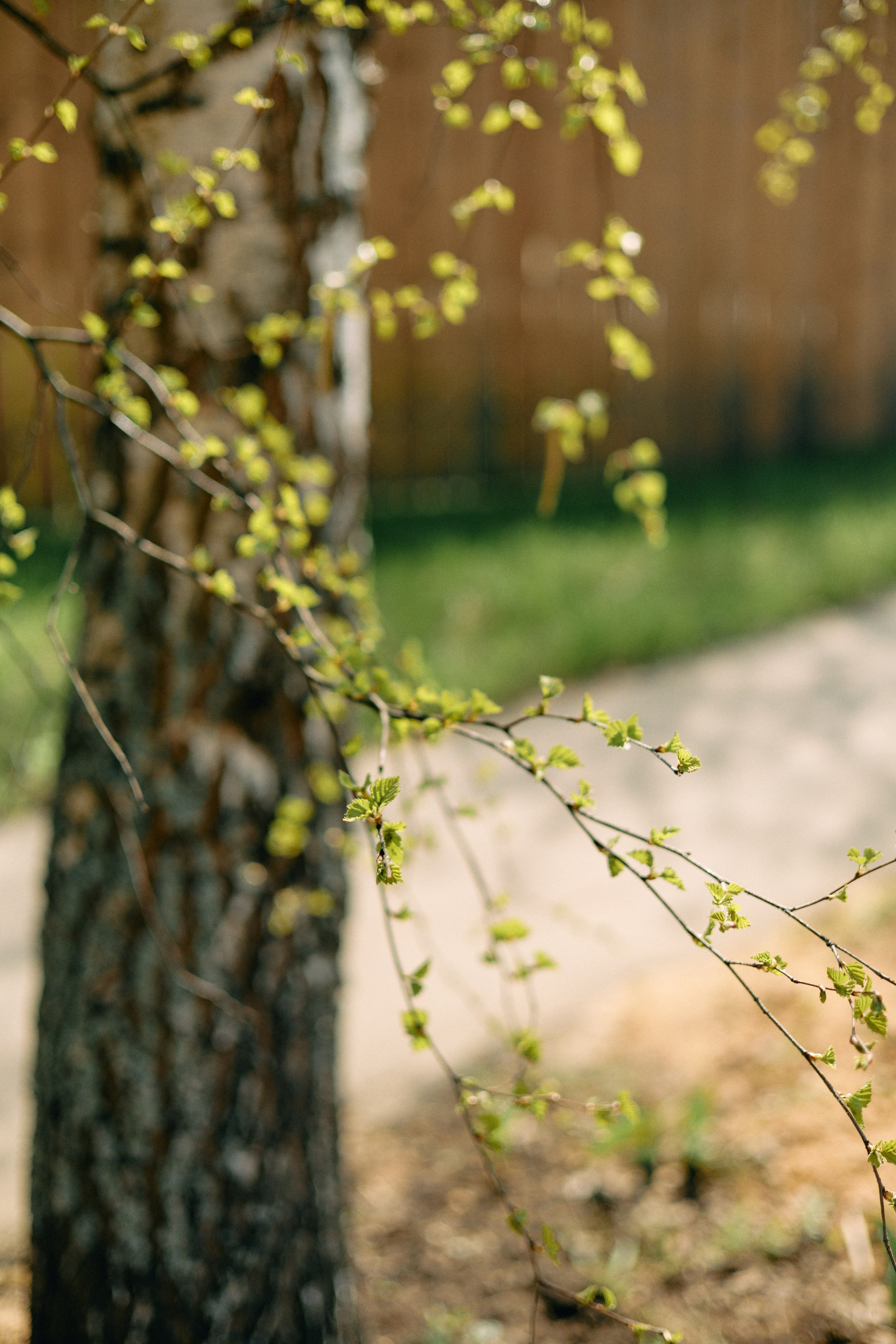 Бутик-отель Поле летом. Профессиональный Фотограф во Владимире, в Москве и в Суздале — Полина Романычева