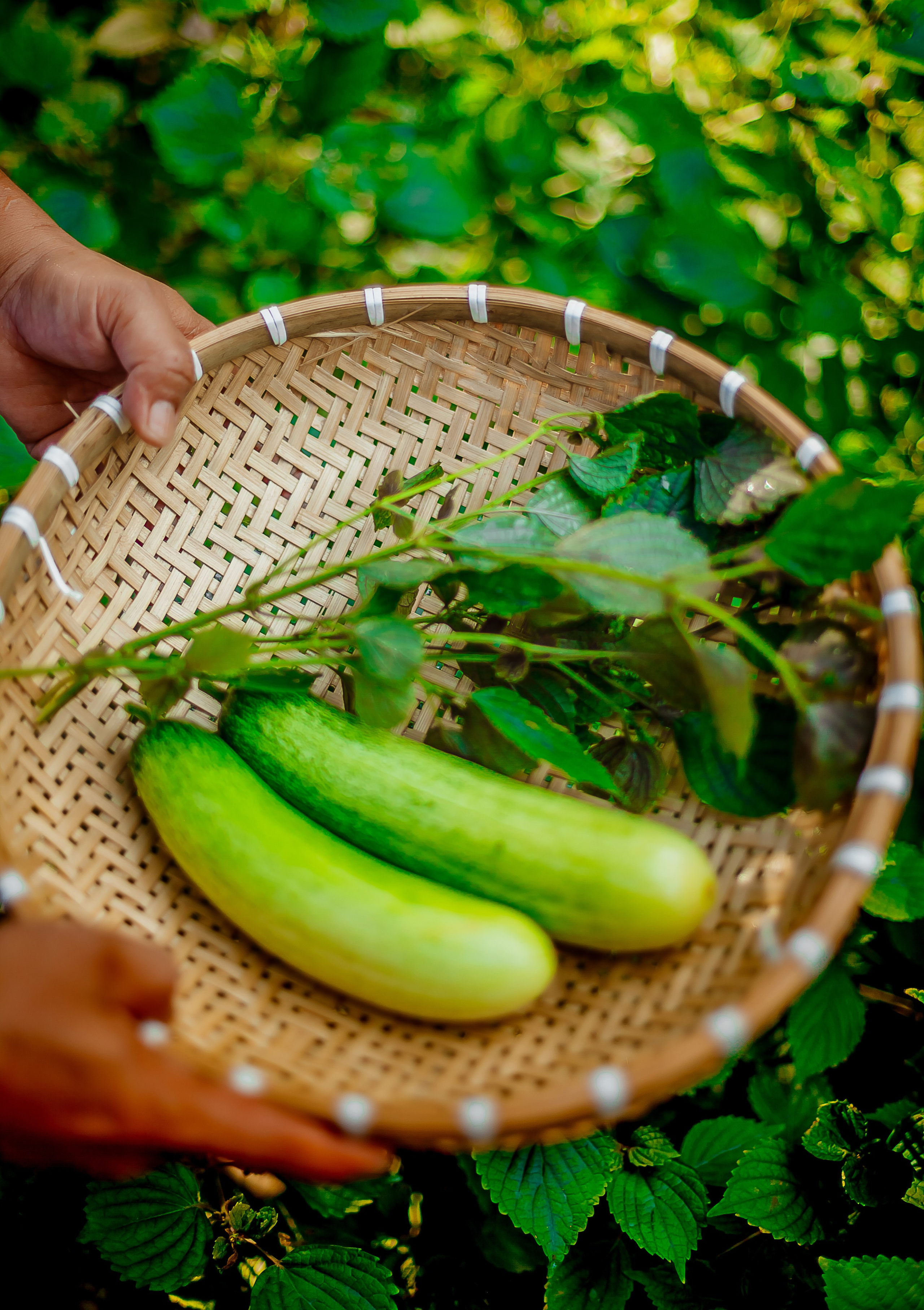 Репортажный фотограф Ялта. Репортажный фотограф Ялта
